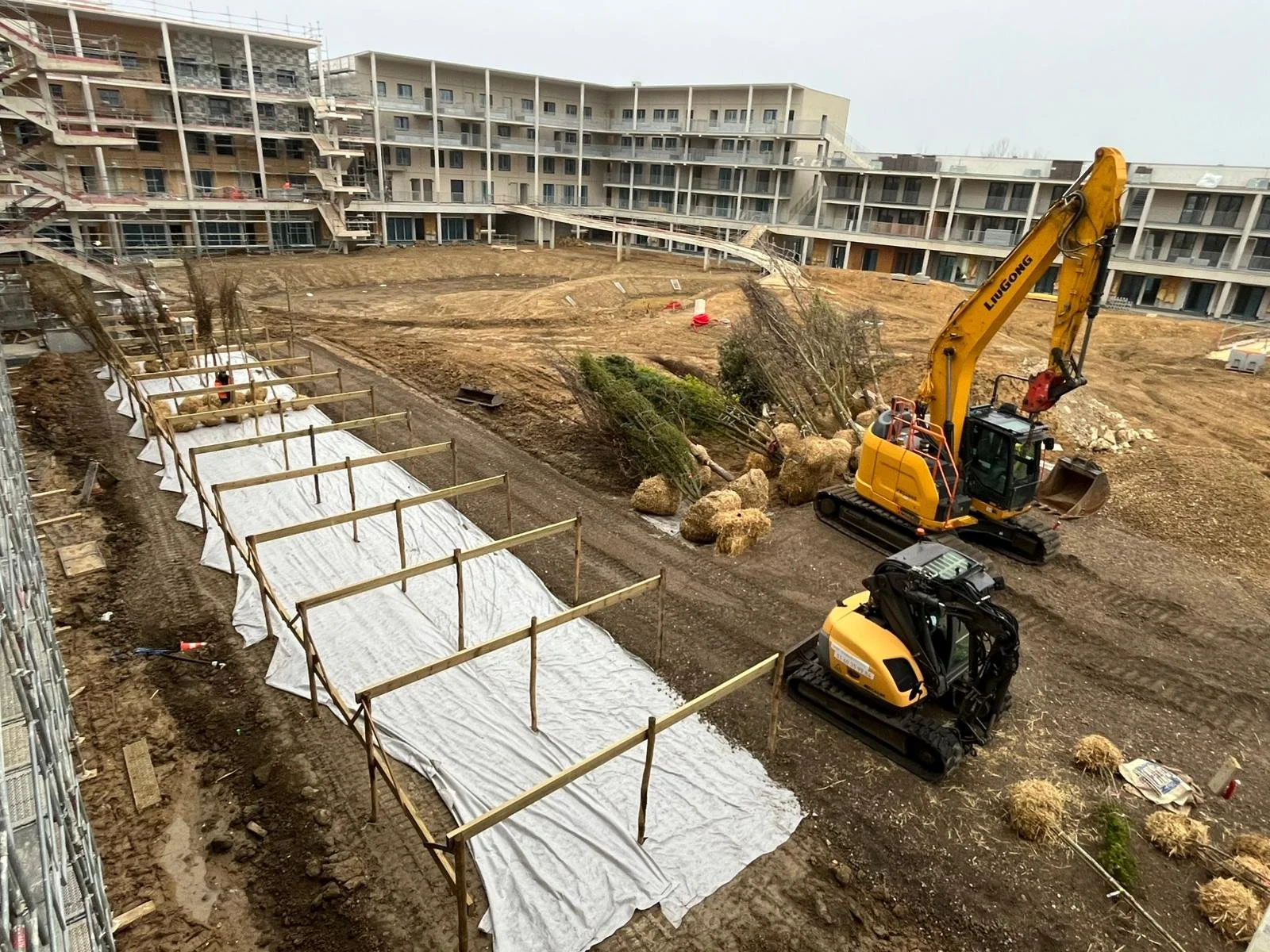Livraison des arbres et plantations