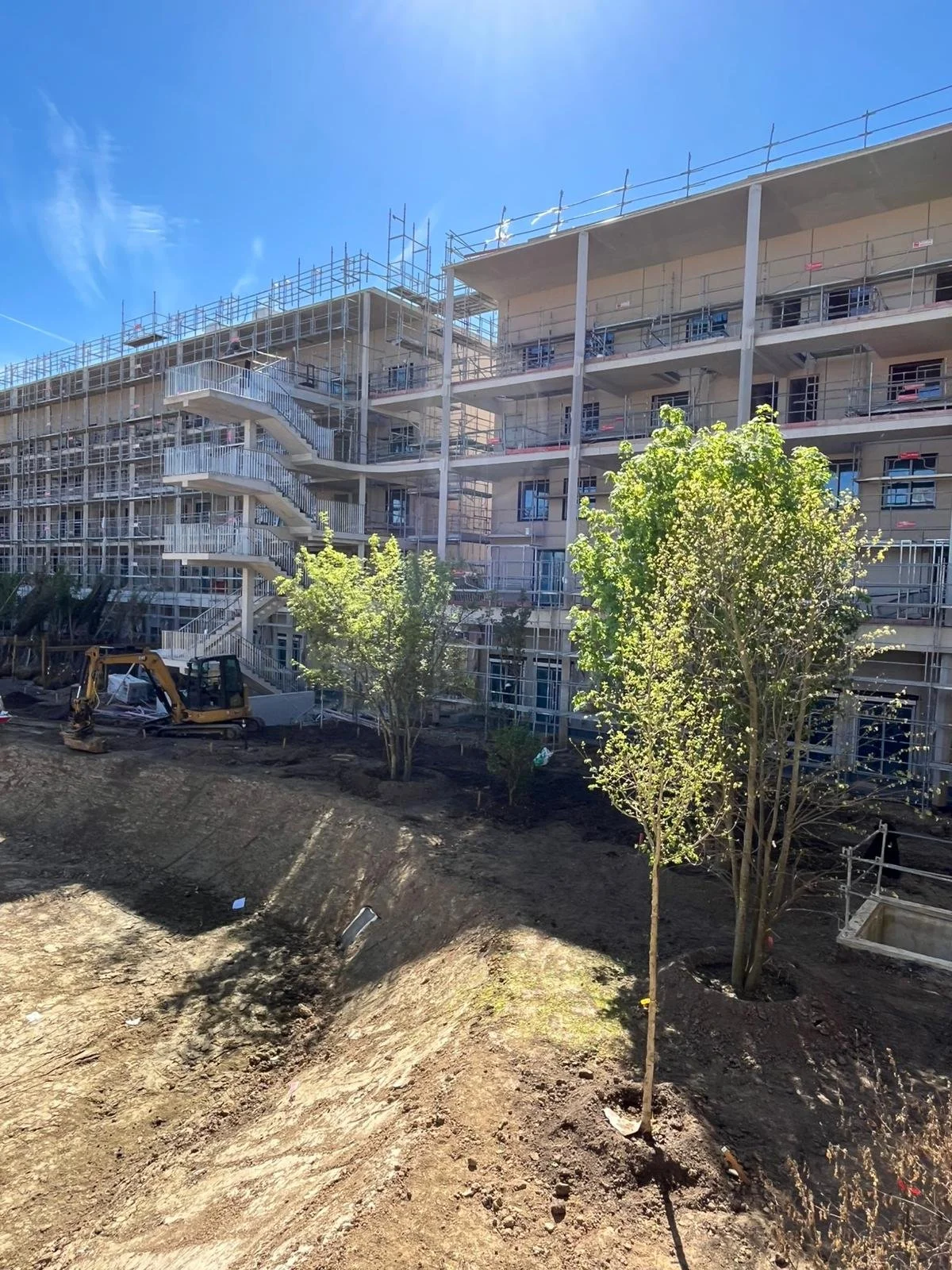 Plantation des arbres