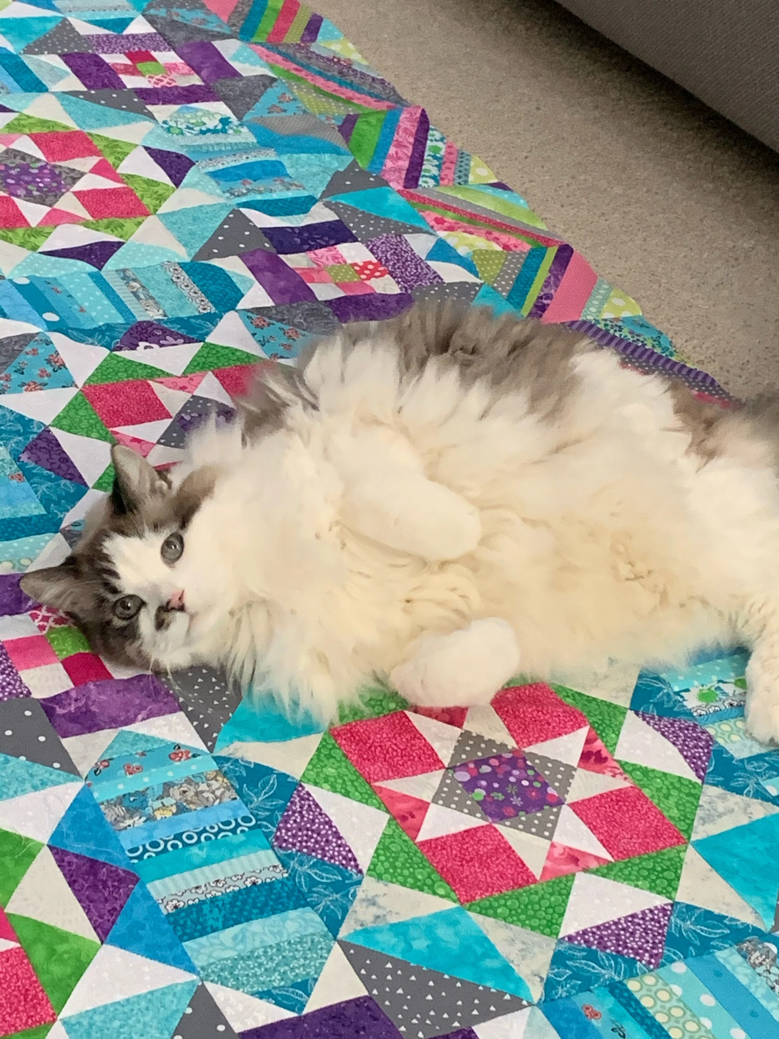 This year's Bonnie Hunter Mystery Quilt