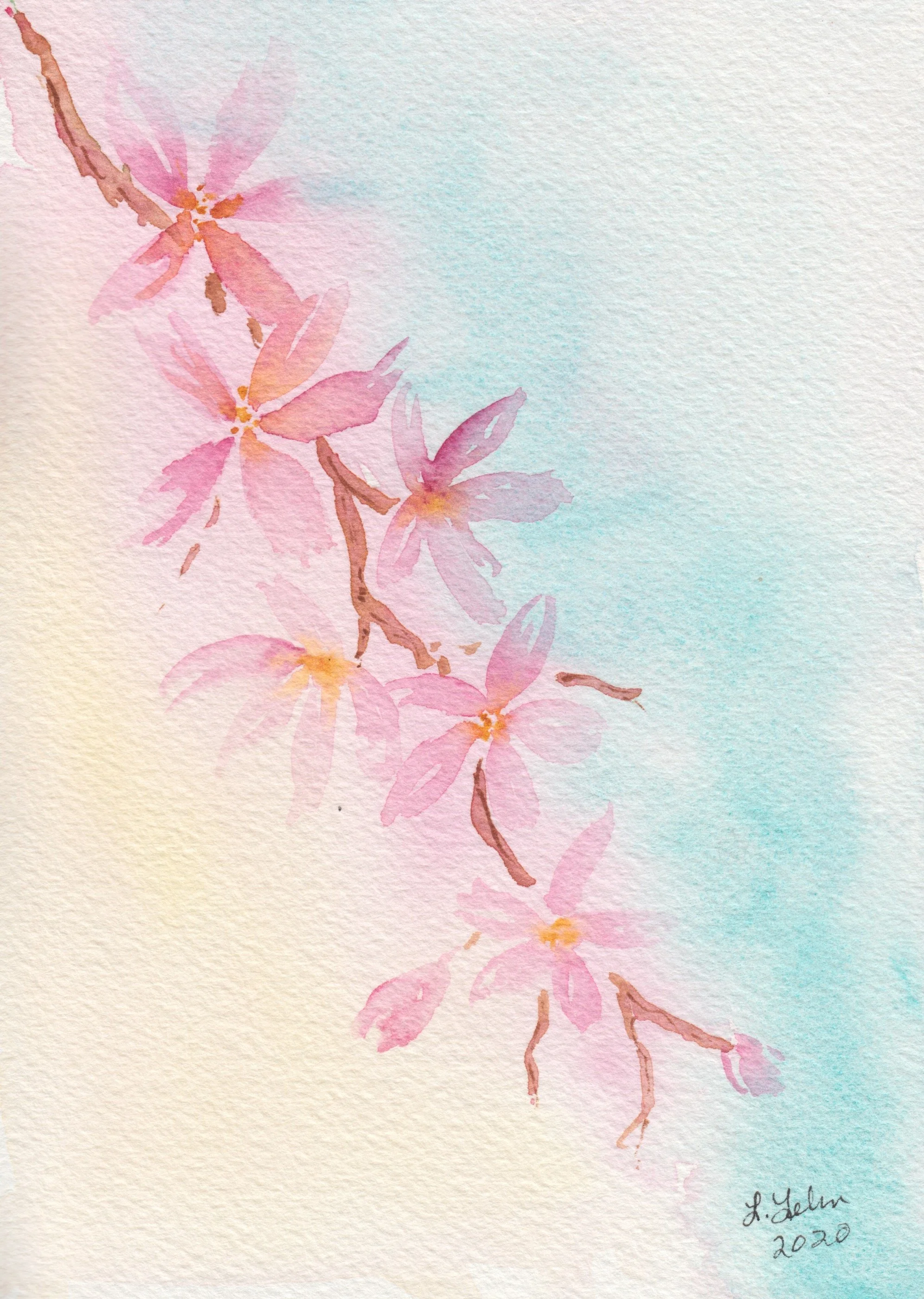 cherryblossoms1.jpeg