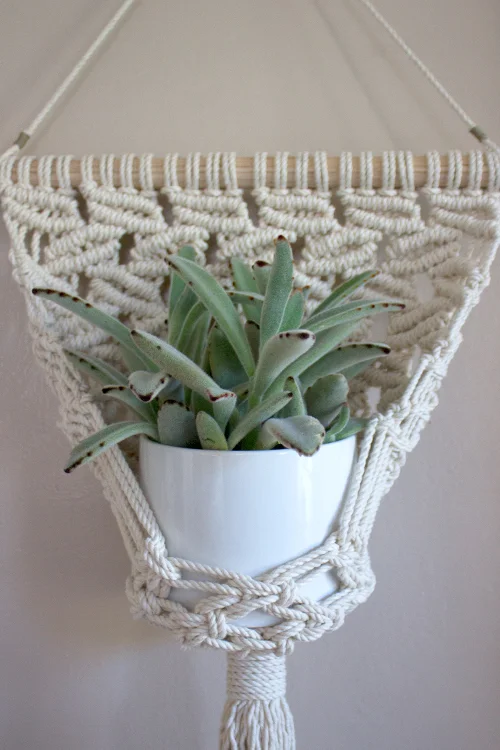 Large-Falling-Leaves-Plant-Hanger.jpg