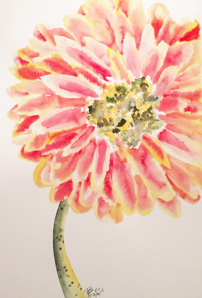 GerberDaisy-RedYellow.jpg