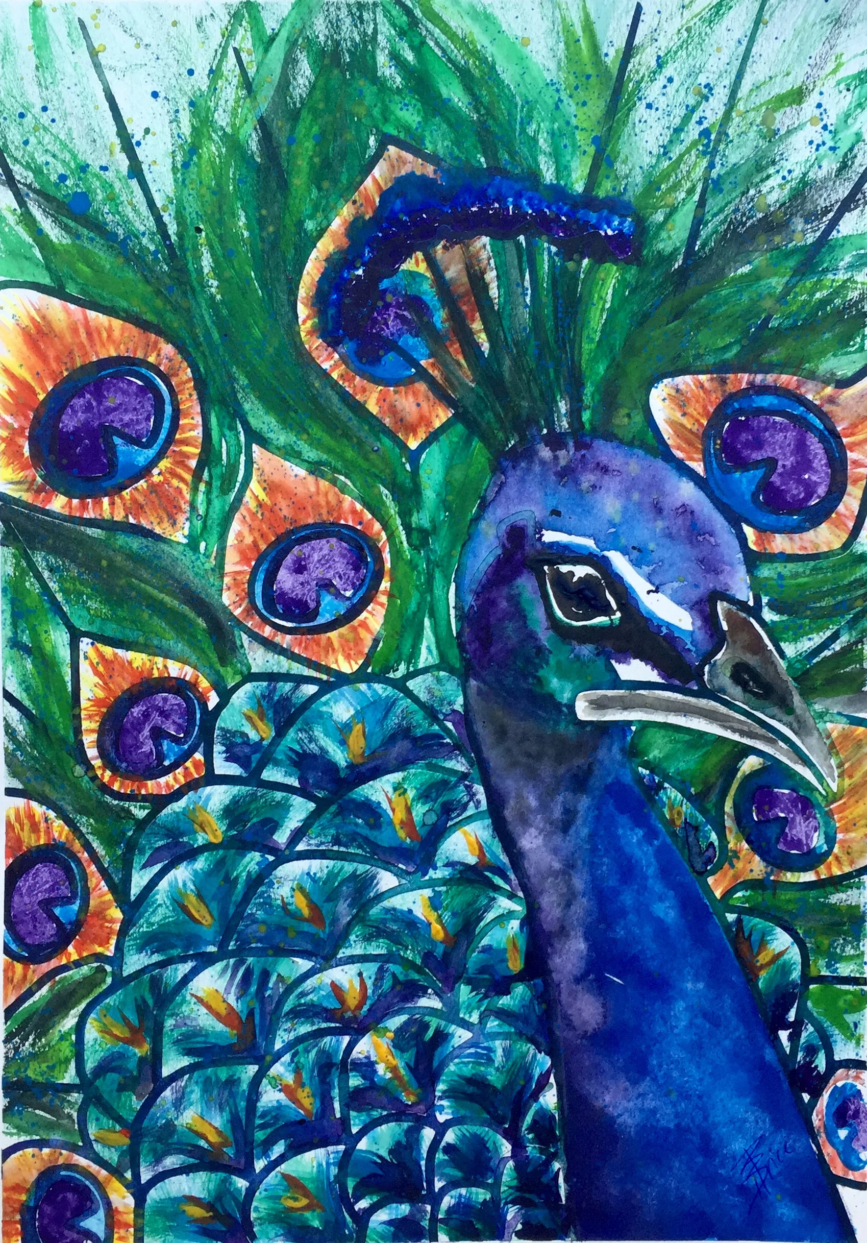 Peacock.jpg