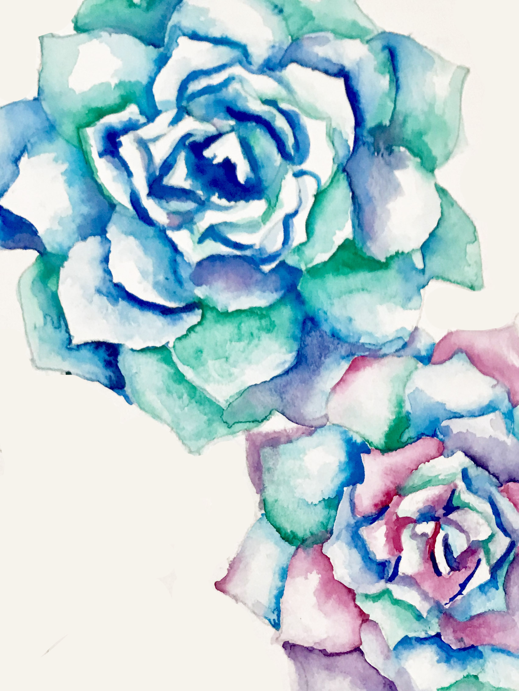 Succulent v2.jpg