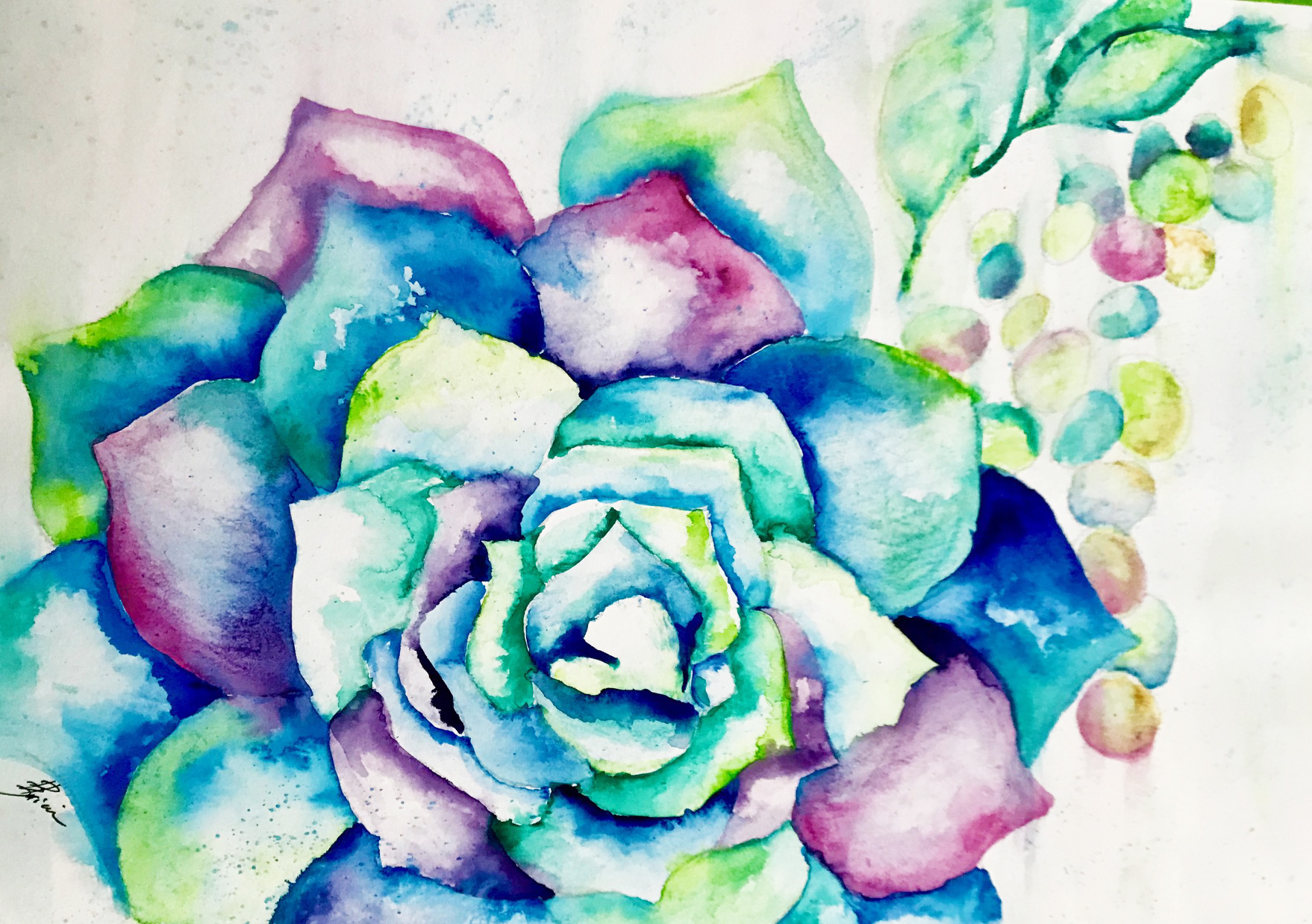 Succulent v1.jpg
