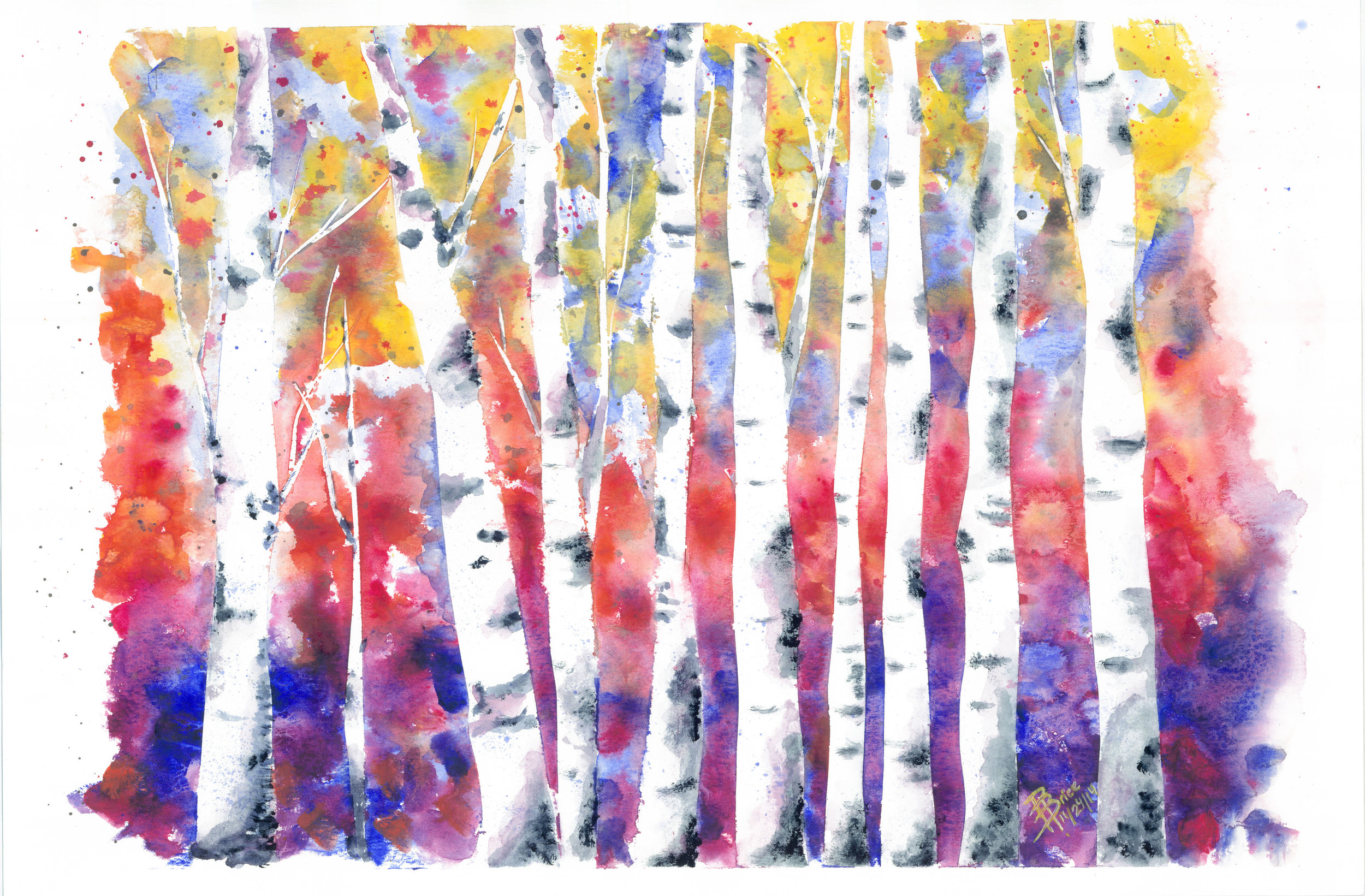 BirchTrees.jpeg