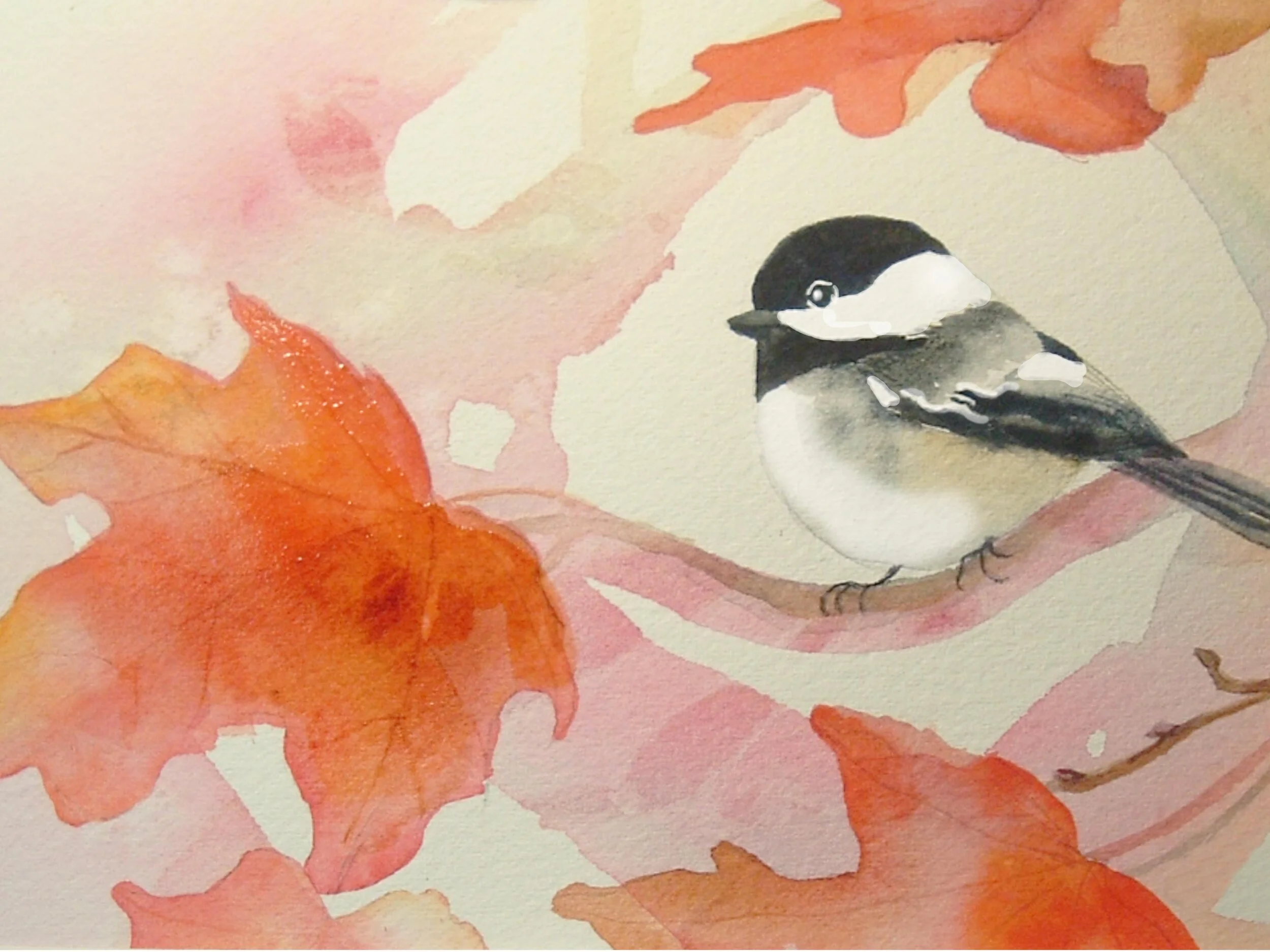Chickadee.jpg