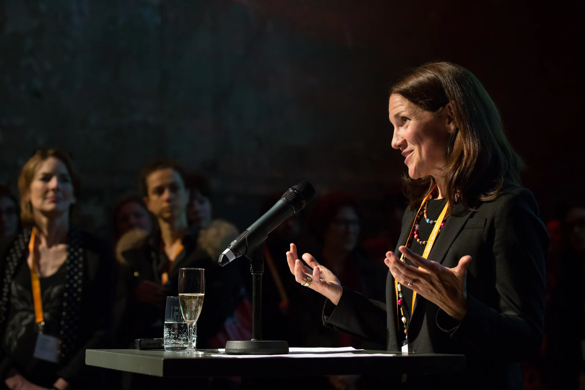 person giving speech to guests