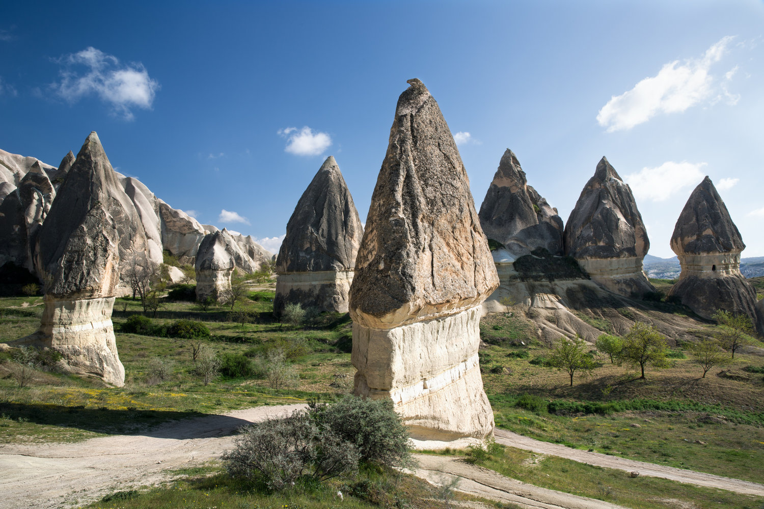 goreme_rose-valley_part2-4087-Edit_tulip-rocks-composition.jpg