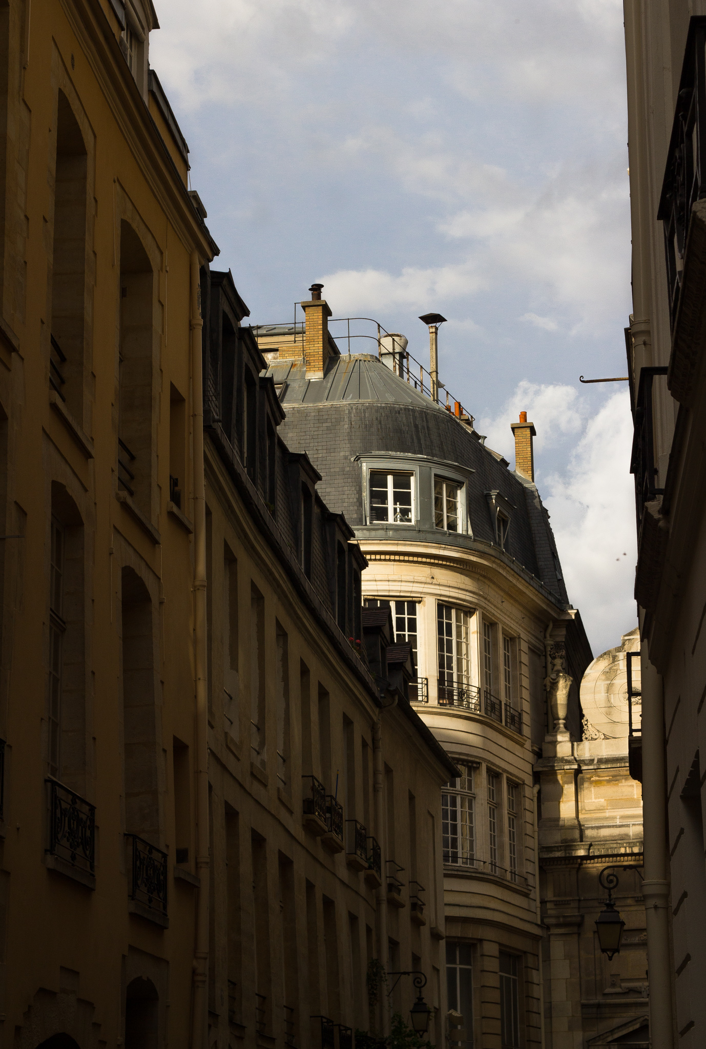 root-top-in-paris-in-evening-light.jpg