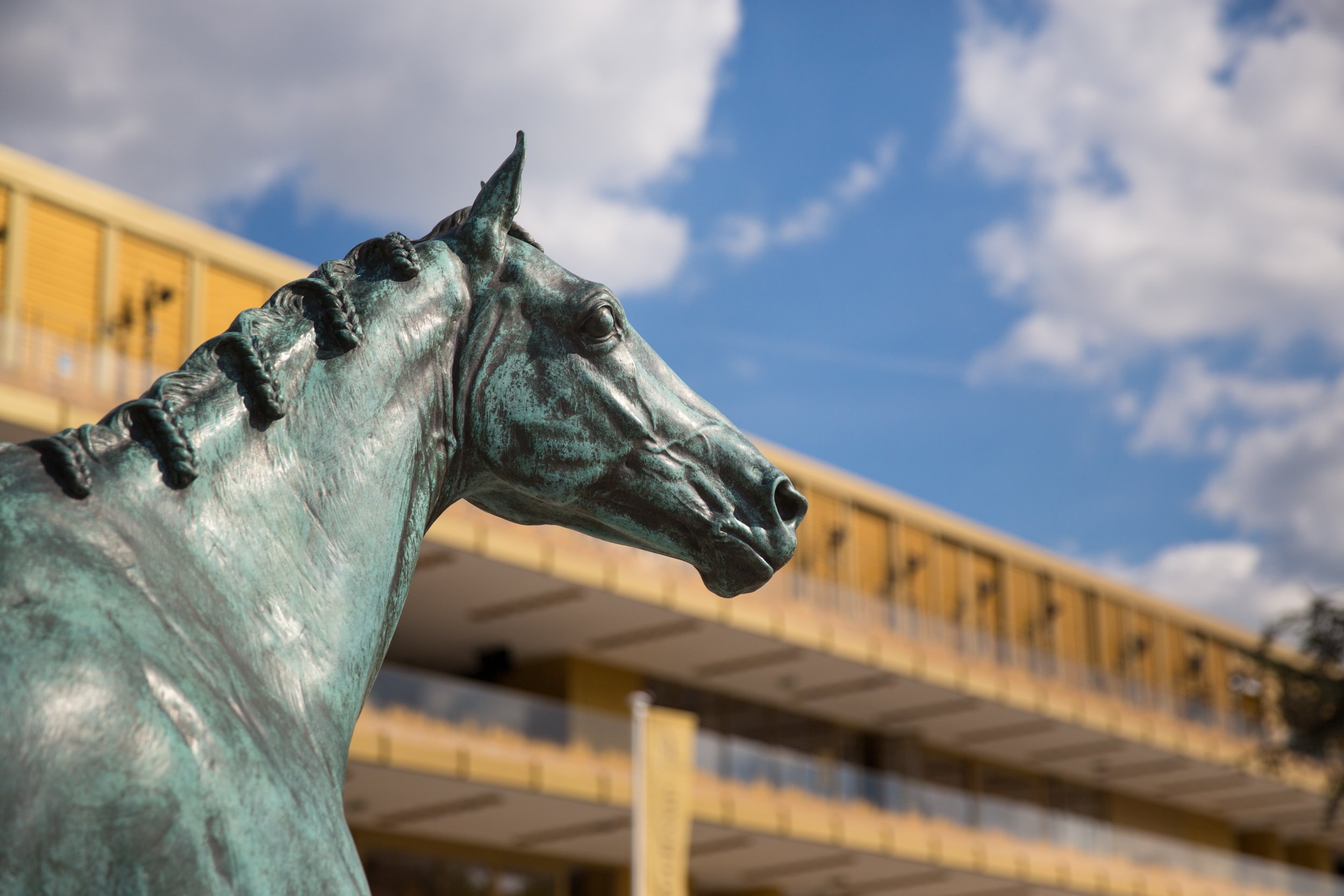  hippodrome-de -paris-longchamp-before-team-outing 