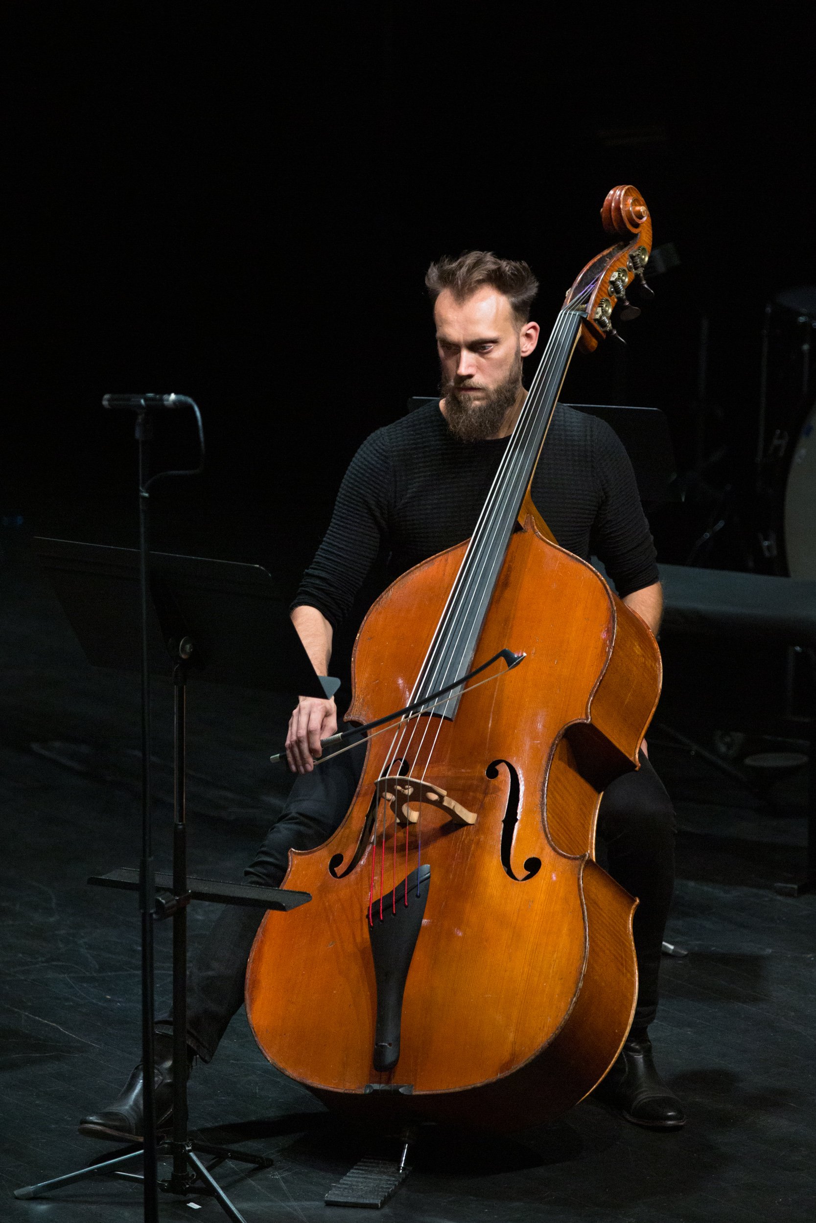  string-instrumentalist-entertains-guests 