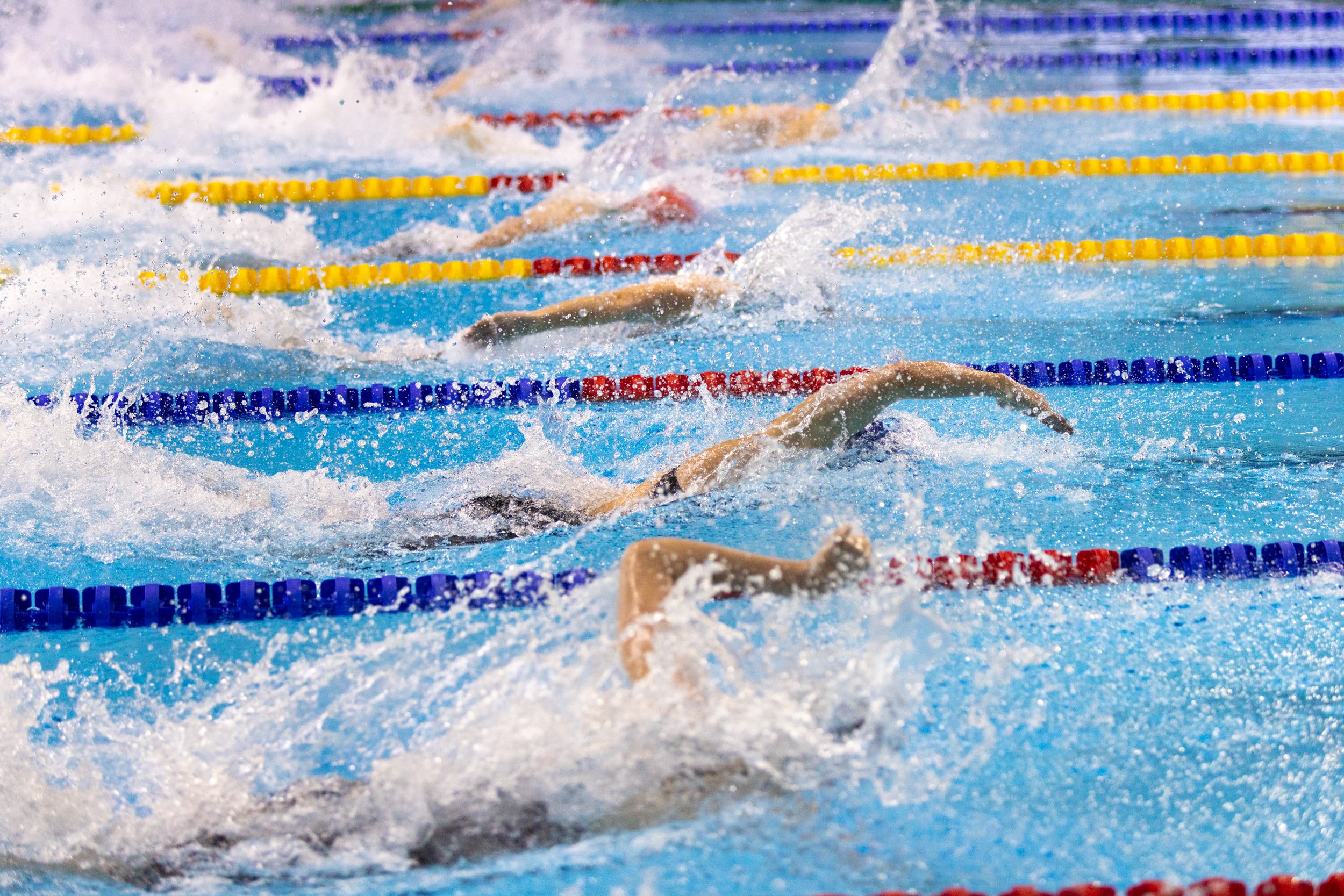 012_olympic-athletes-swim.jpg