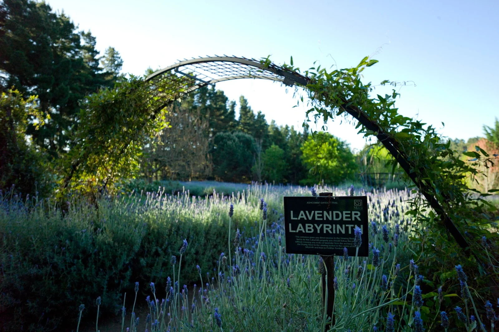 Yoga is a training for life