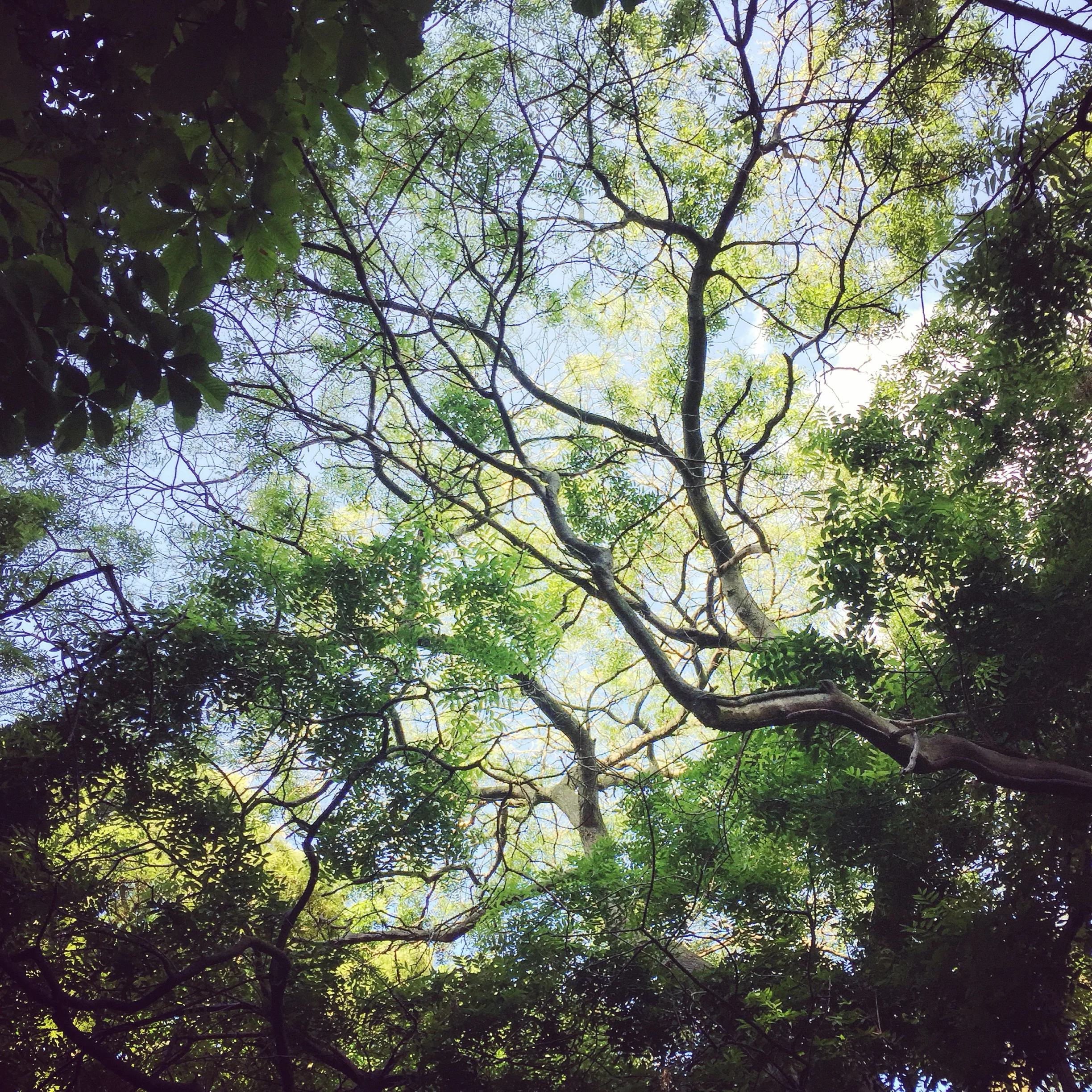 Finding peace of mind on the green island