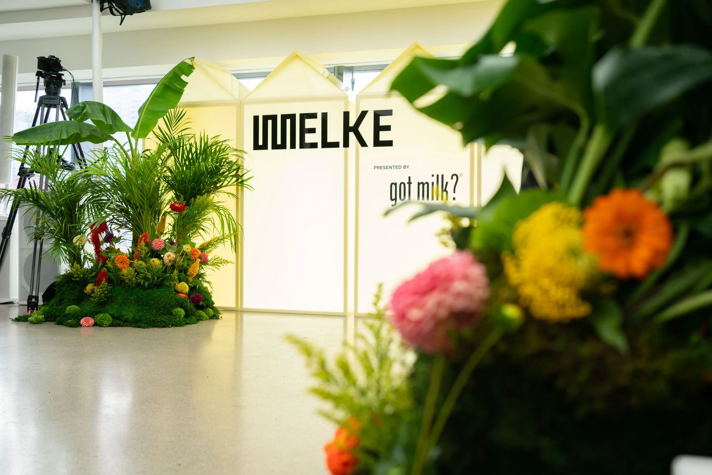 MELKE by Weston Mosburg 105237.jpg