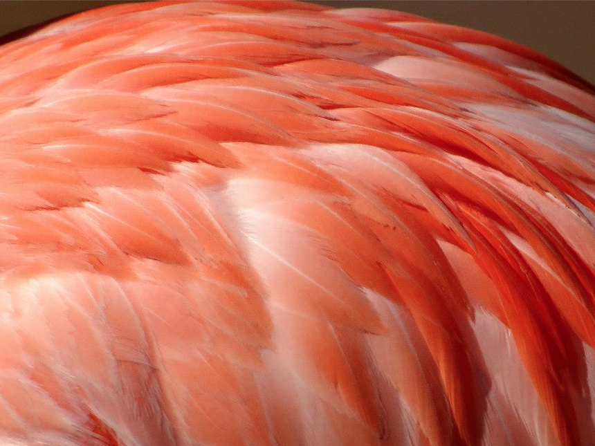 Screen Shot 2014-12-10 at 5.15.09 PM.png