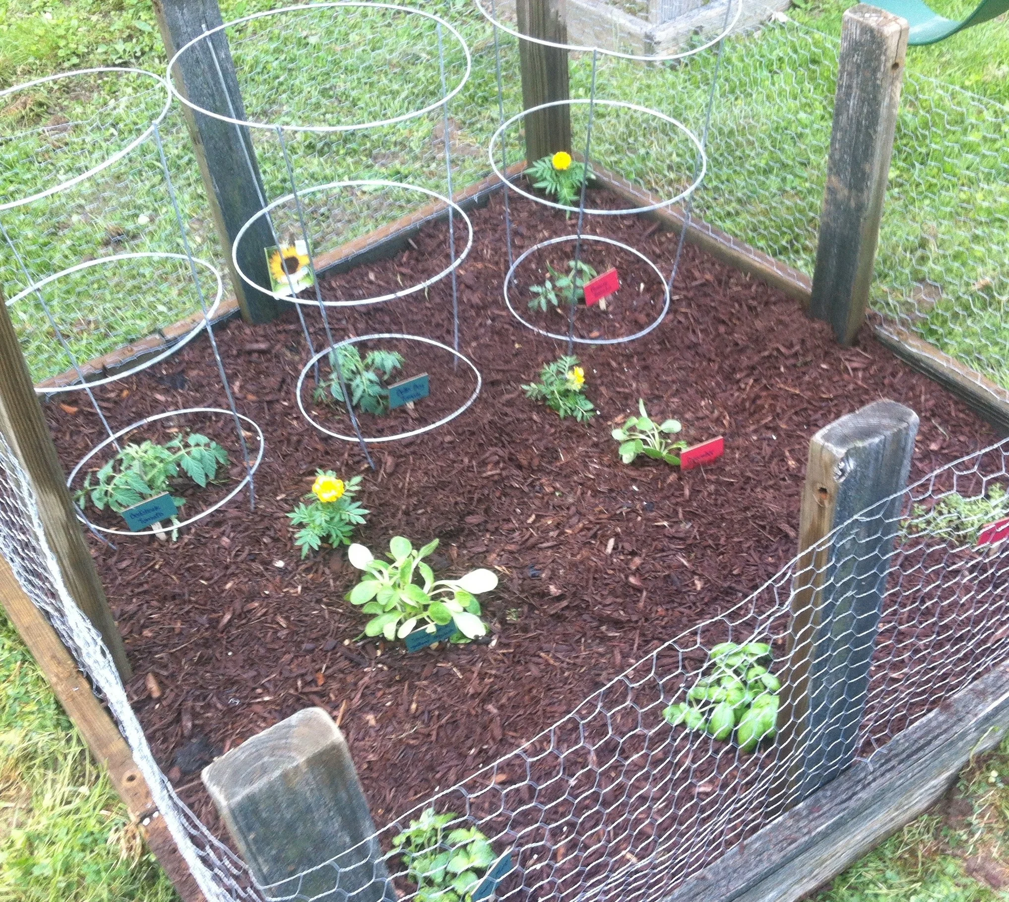 My Garden