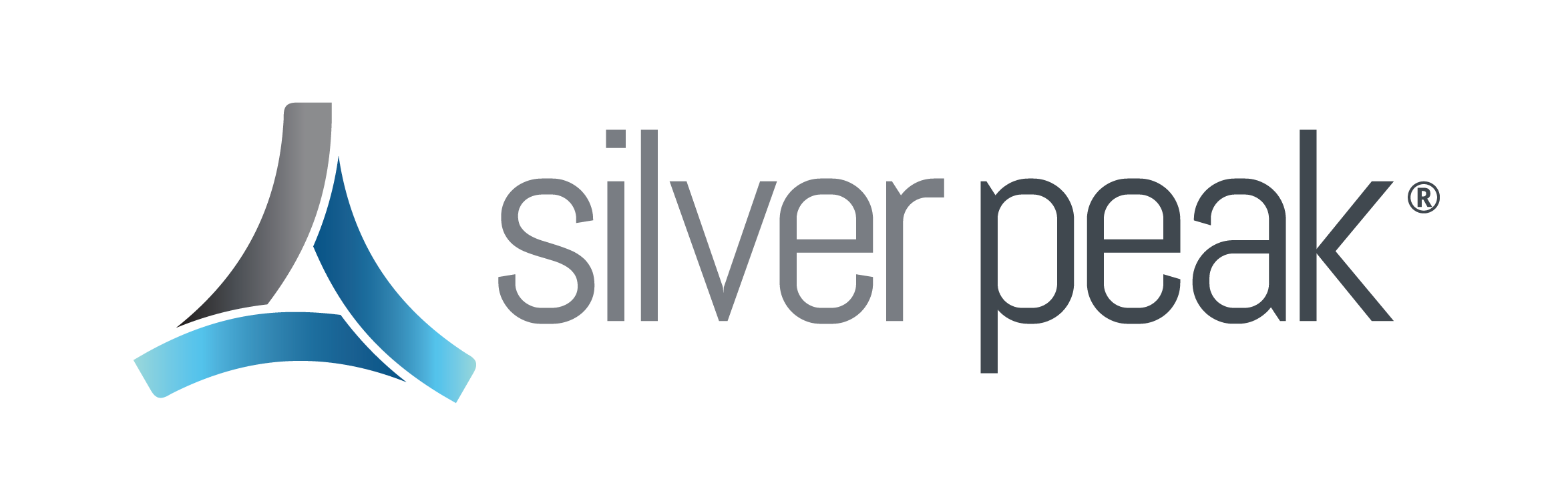 Silver-Peak-4-Color.png