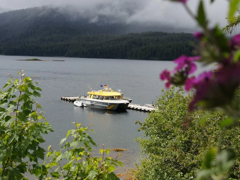 Alaska 2012 (41).jpg
