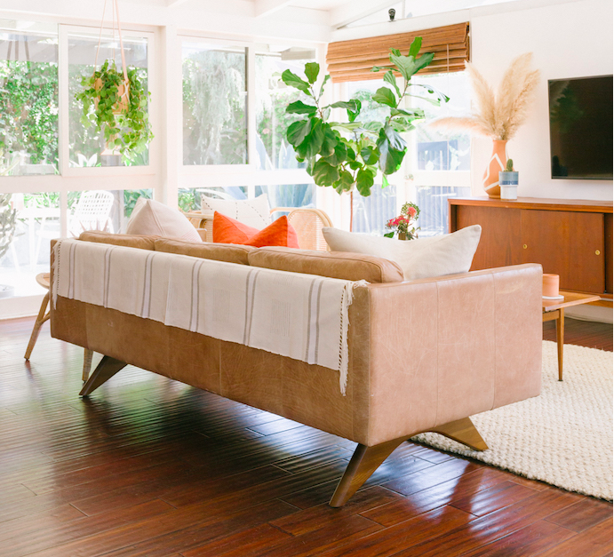 Calling all Plant Lovers!