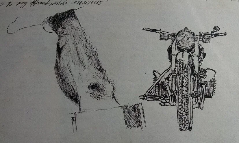 Leg-Bike.jpg