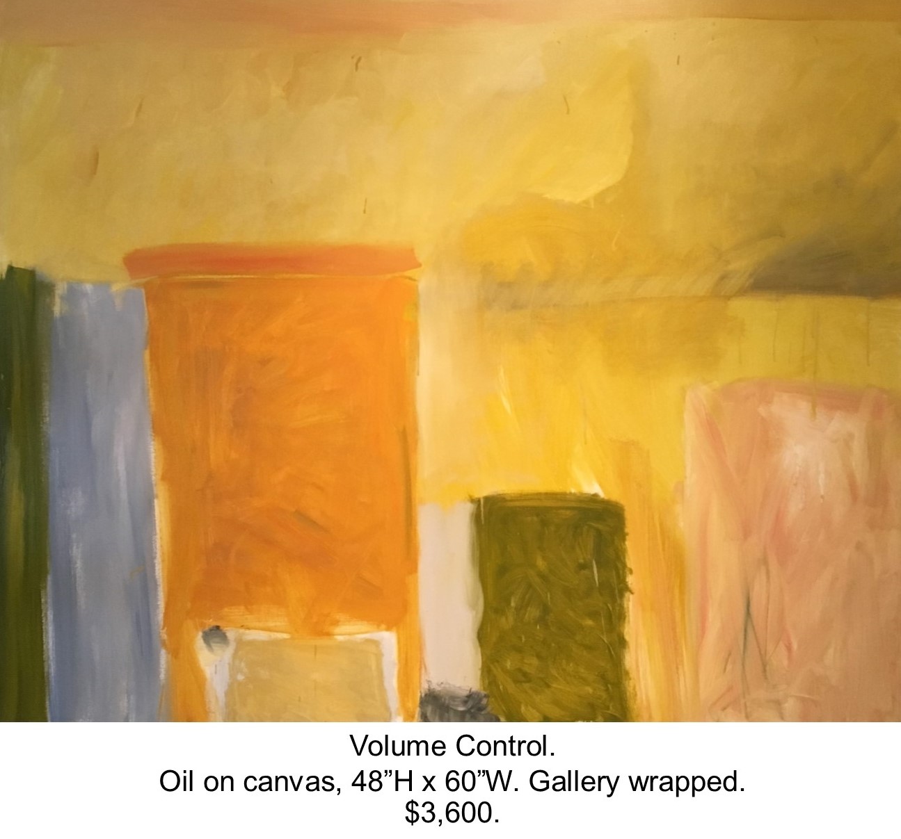 Fred Wise, Volume Control. Oil on canvas, 48 x 60, 2016..jpg