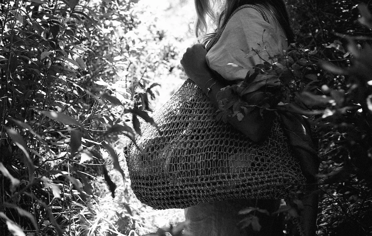 BI_SCxMM_042 copy.jpg