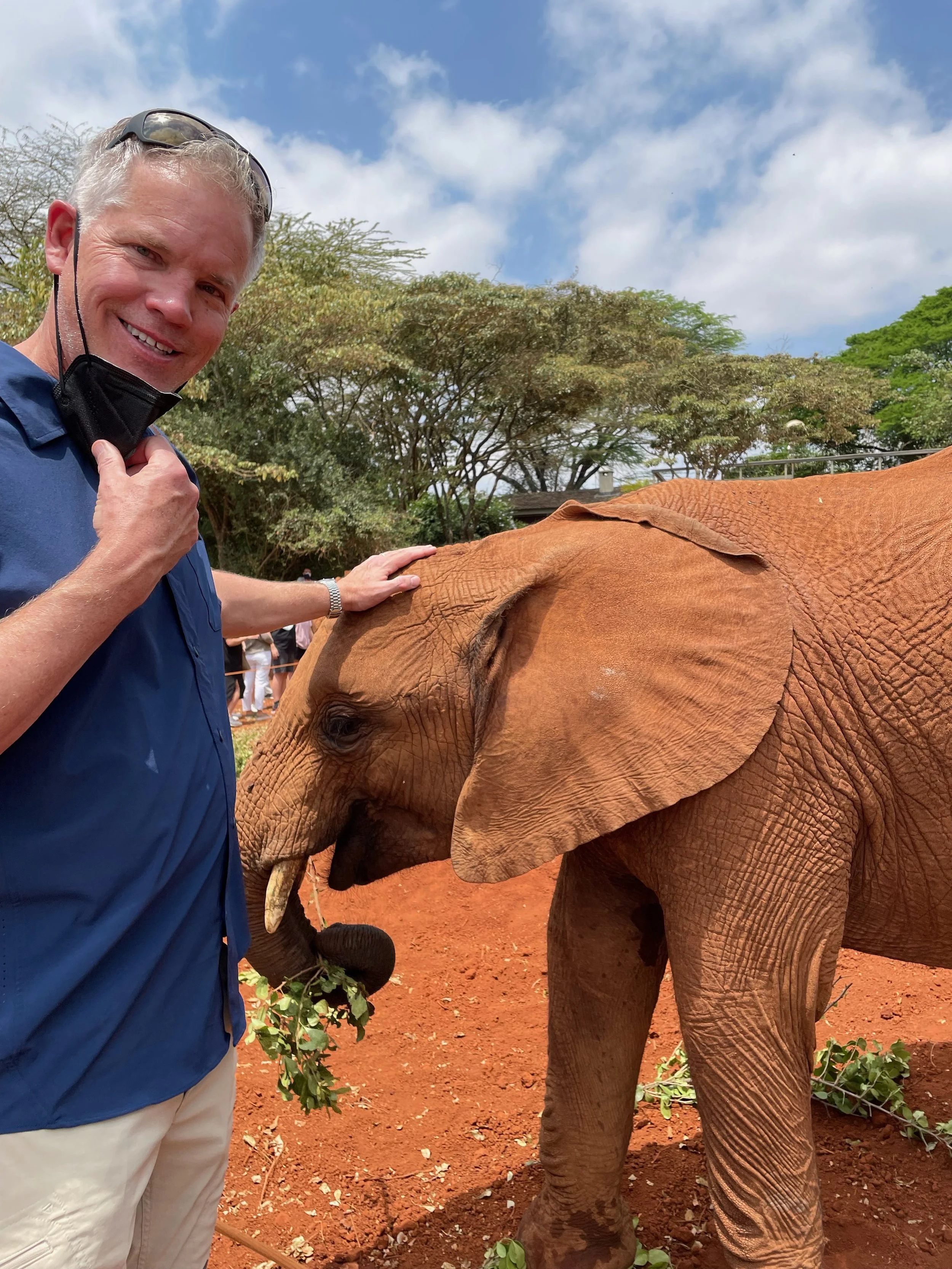  Visiting Sheldrick Wildlife Trust 