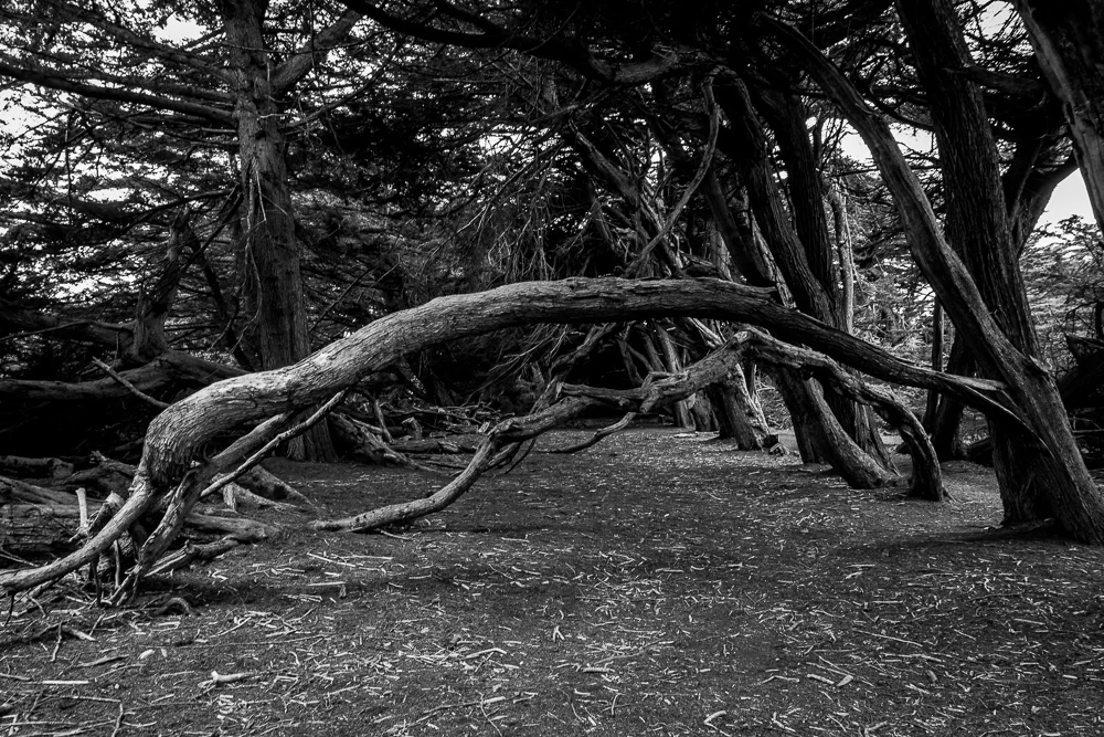 20150716-DSC_6115.jpg