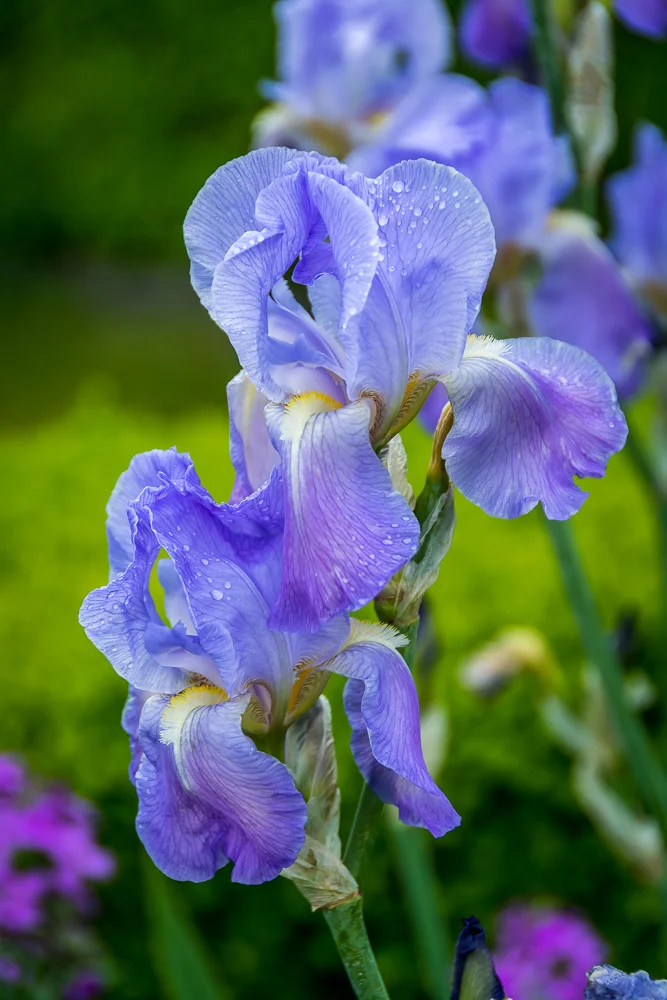 20140428-DSC_7772.jpg