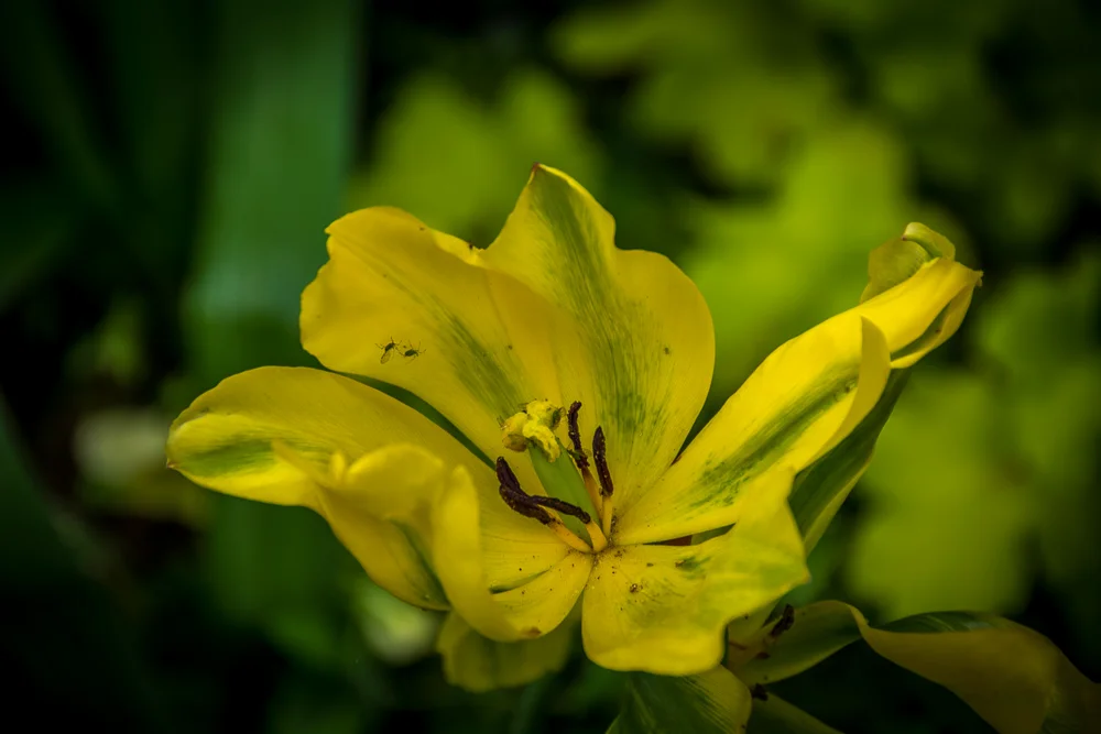 20140430-DSC_8267.jpg