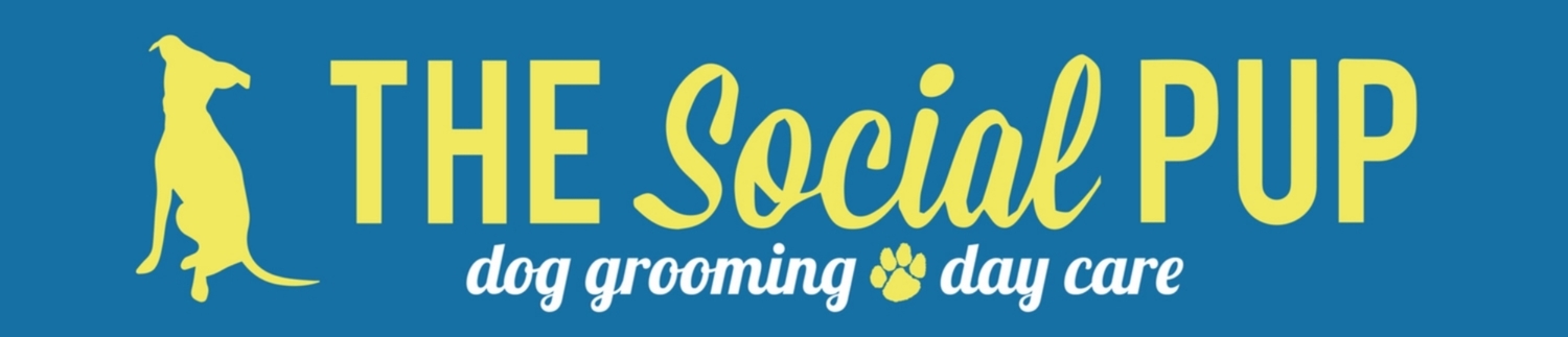 The Social Pup