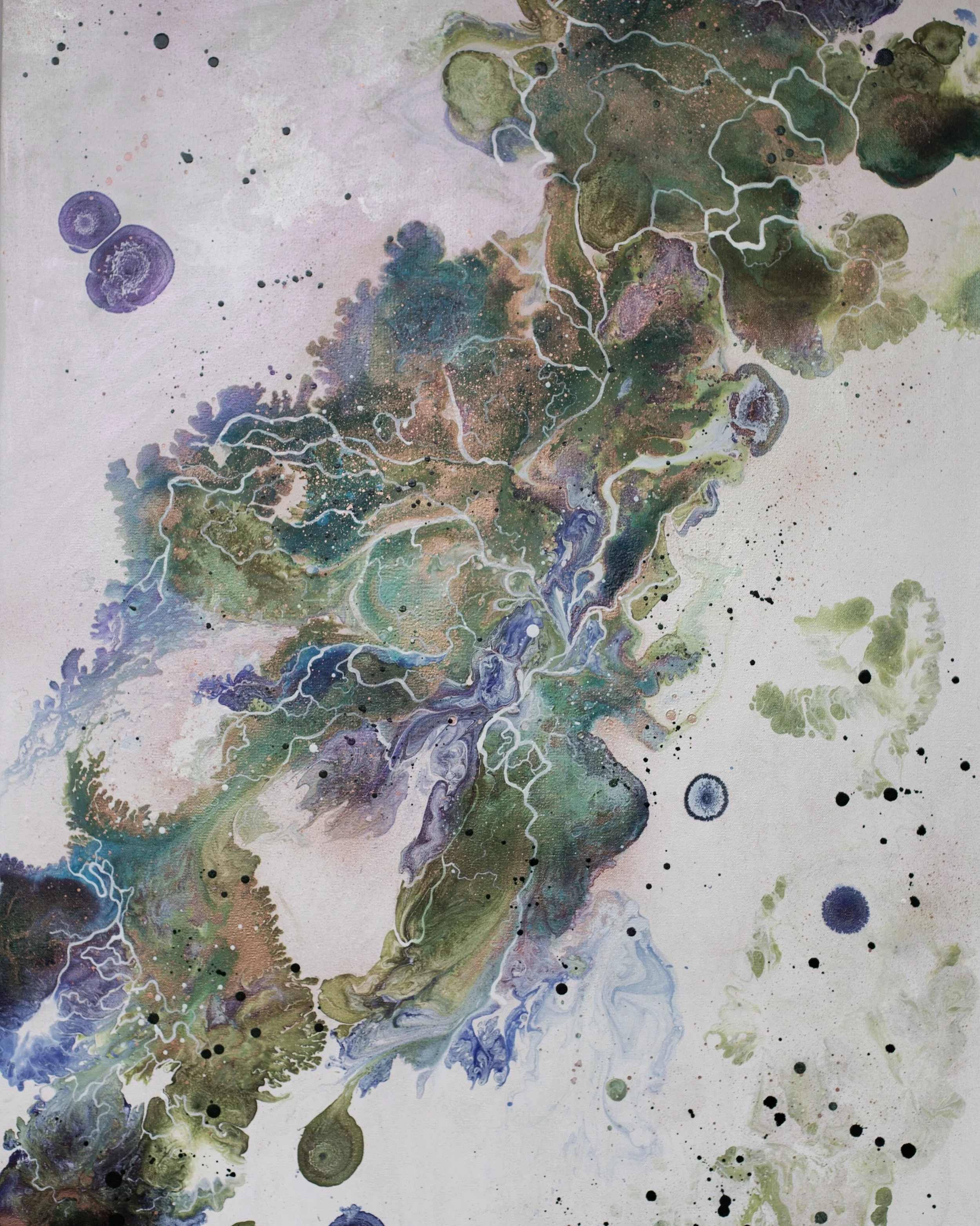 Through the eyes of a Dragonfly 