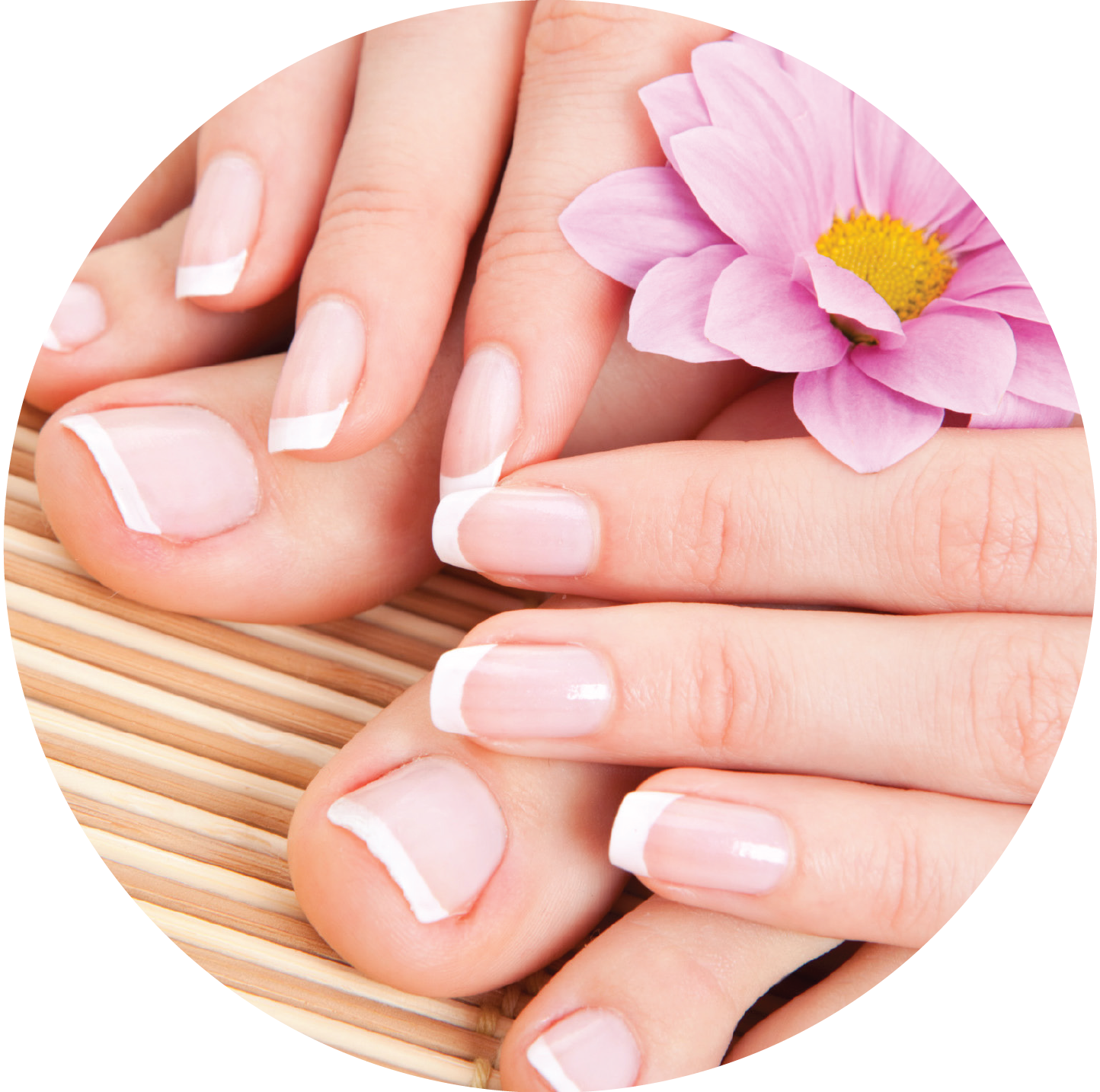 Instant French Manicure & Pedicure Kit for $9.99