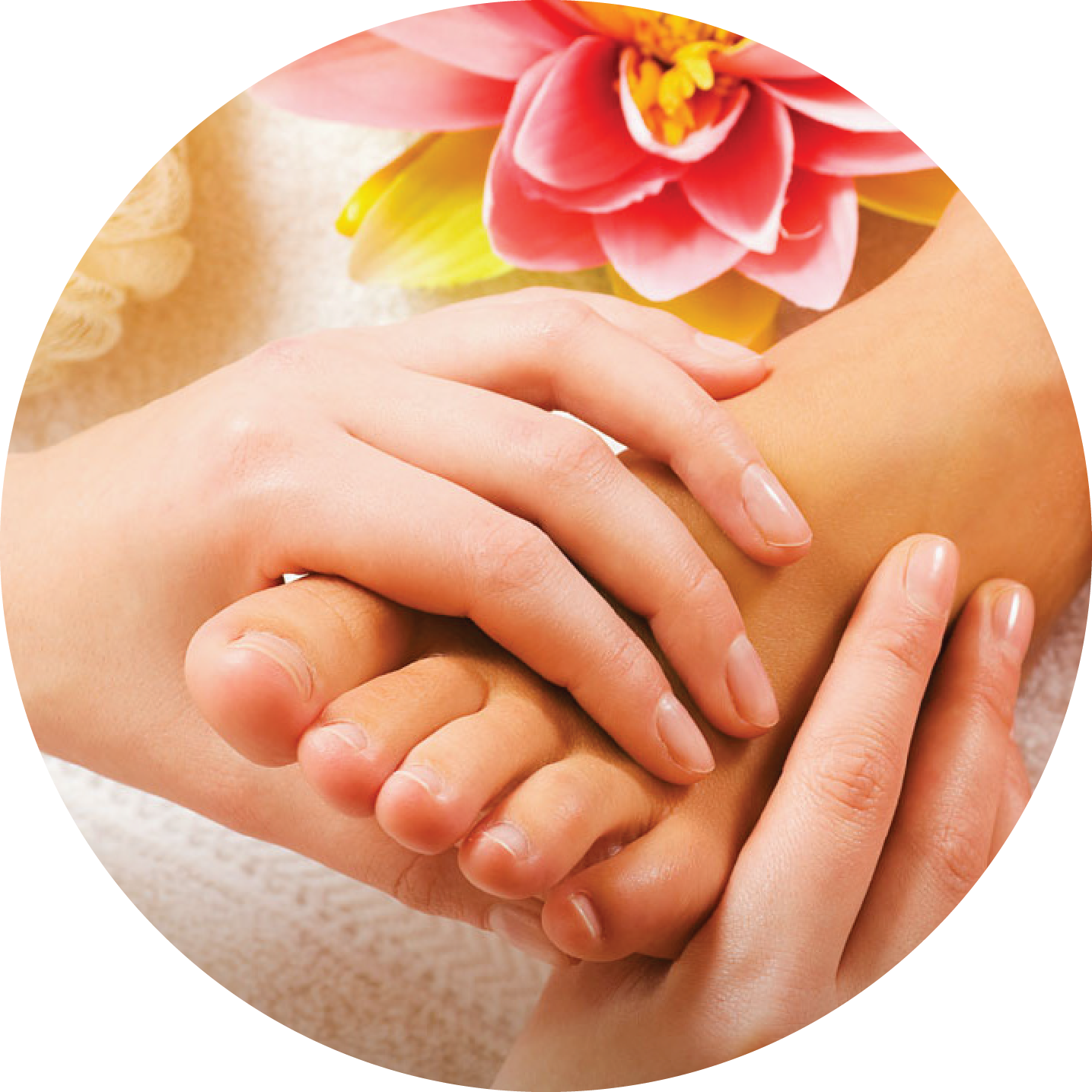 Shop & Packages