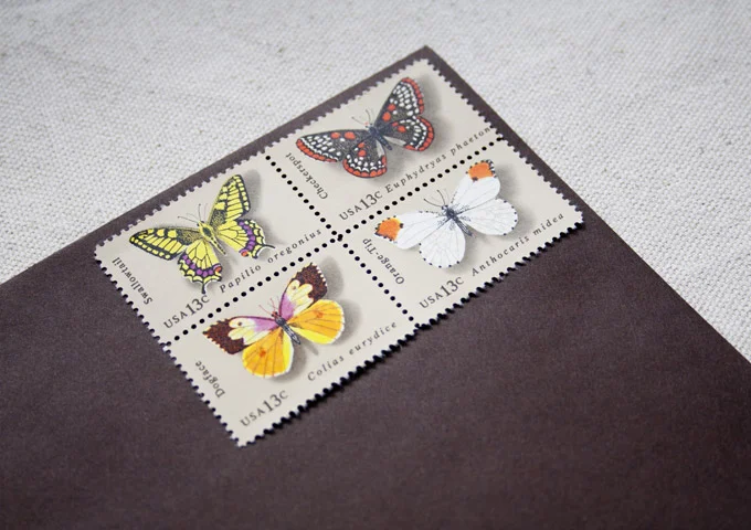 butterflies.jpg