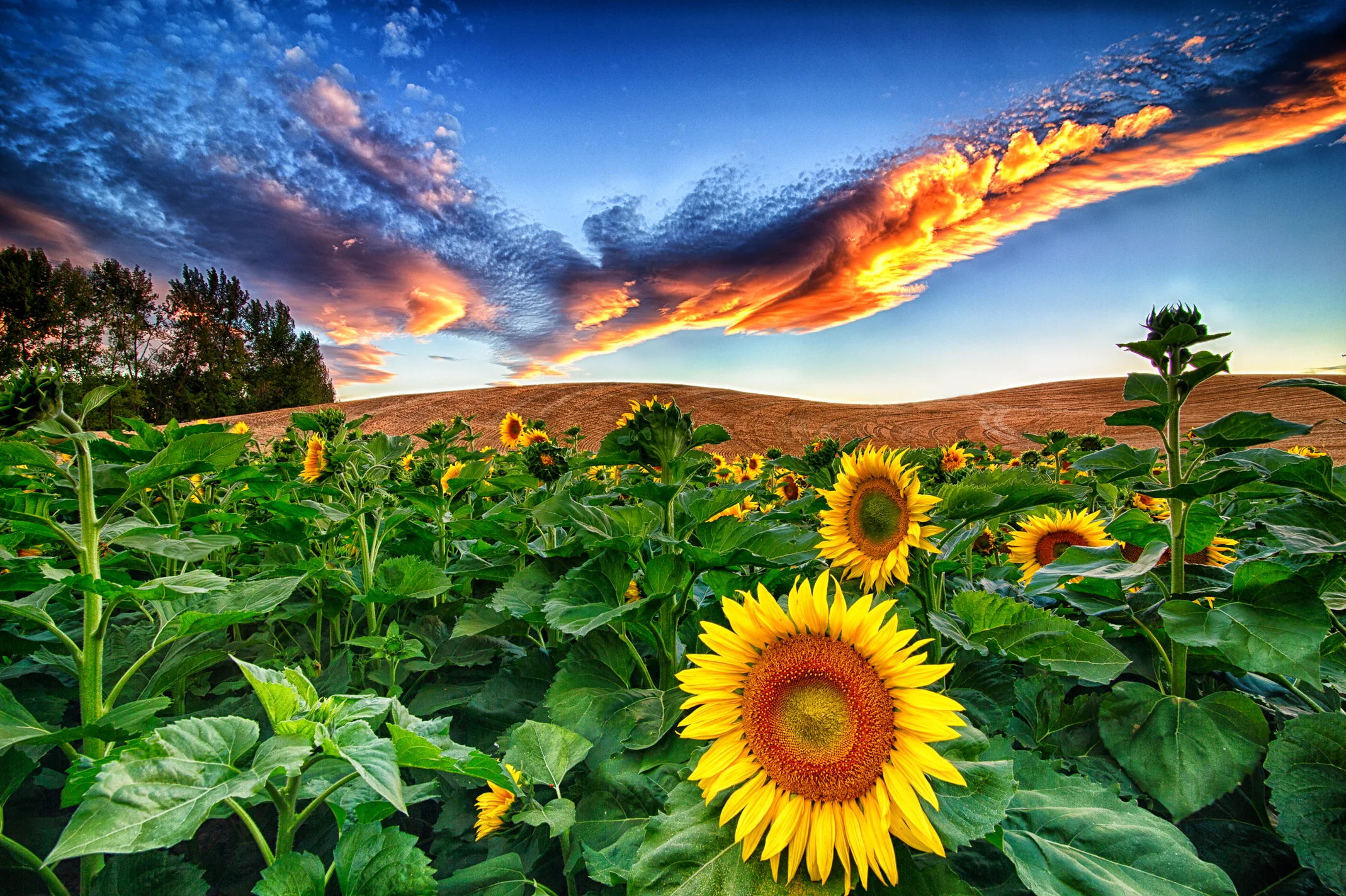 9J4A0877_HDR-Edit-Edit-Edit.jpg