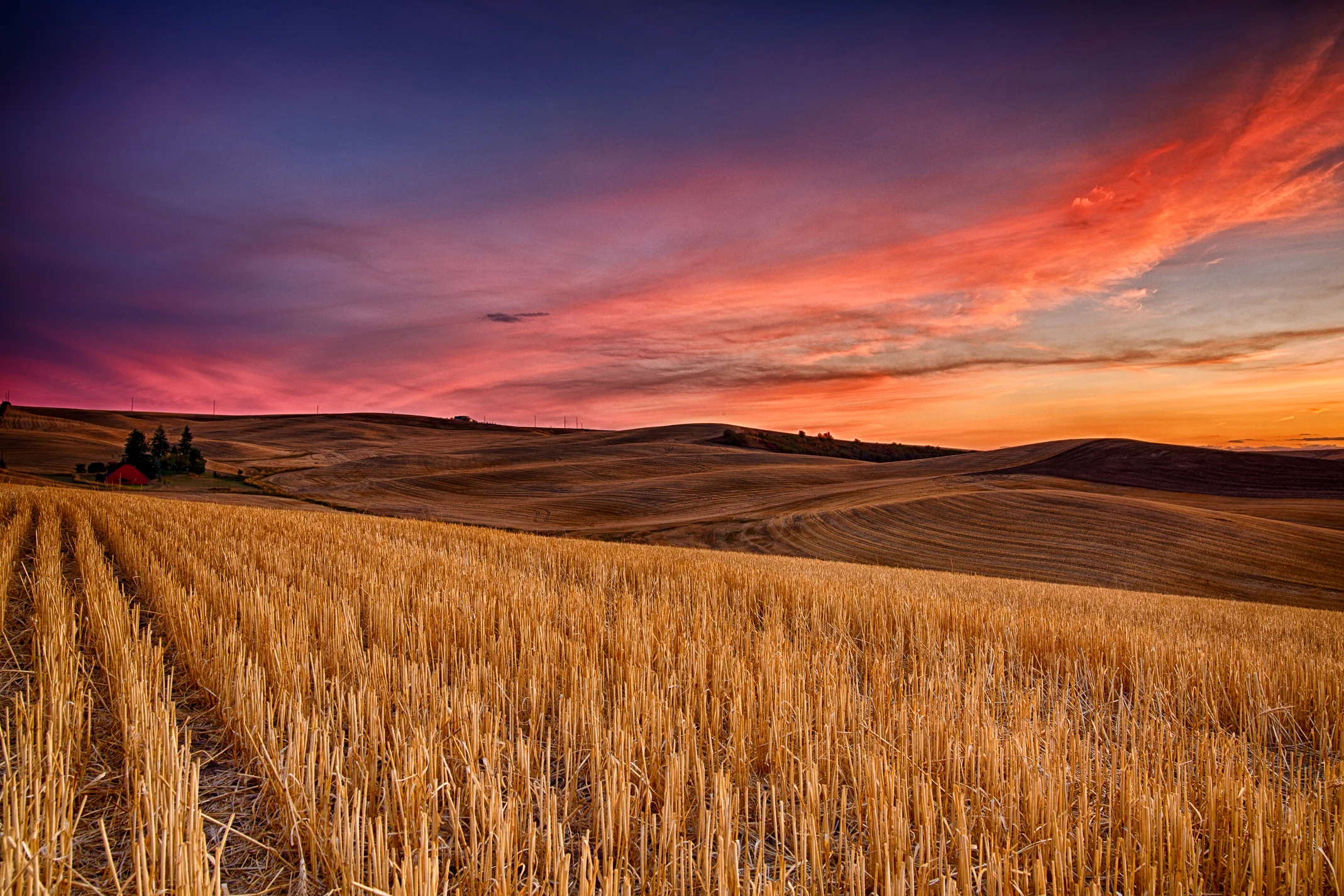 9J4A1246_HDR-Edit-Edit-Edit.jpg