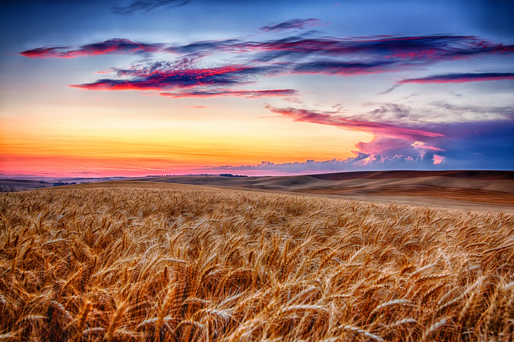 9J4A0025_HDR-Edit-Edit.jpg