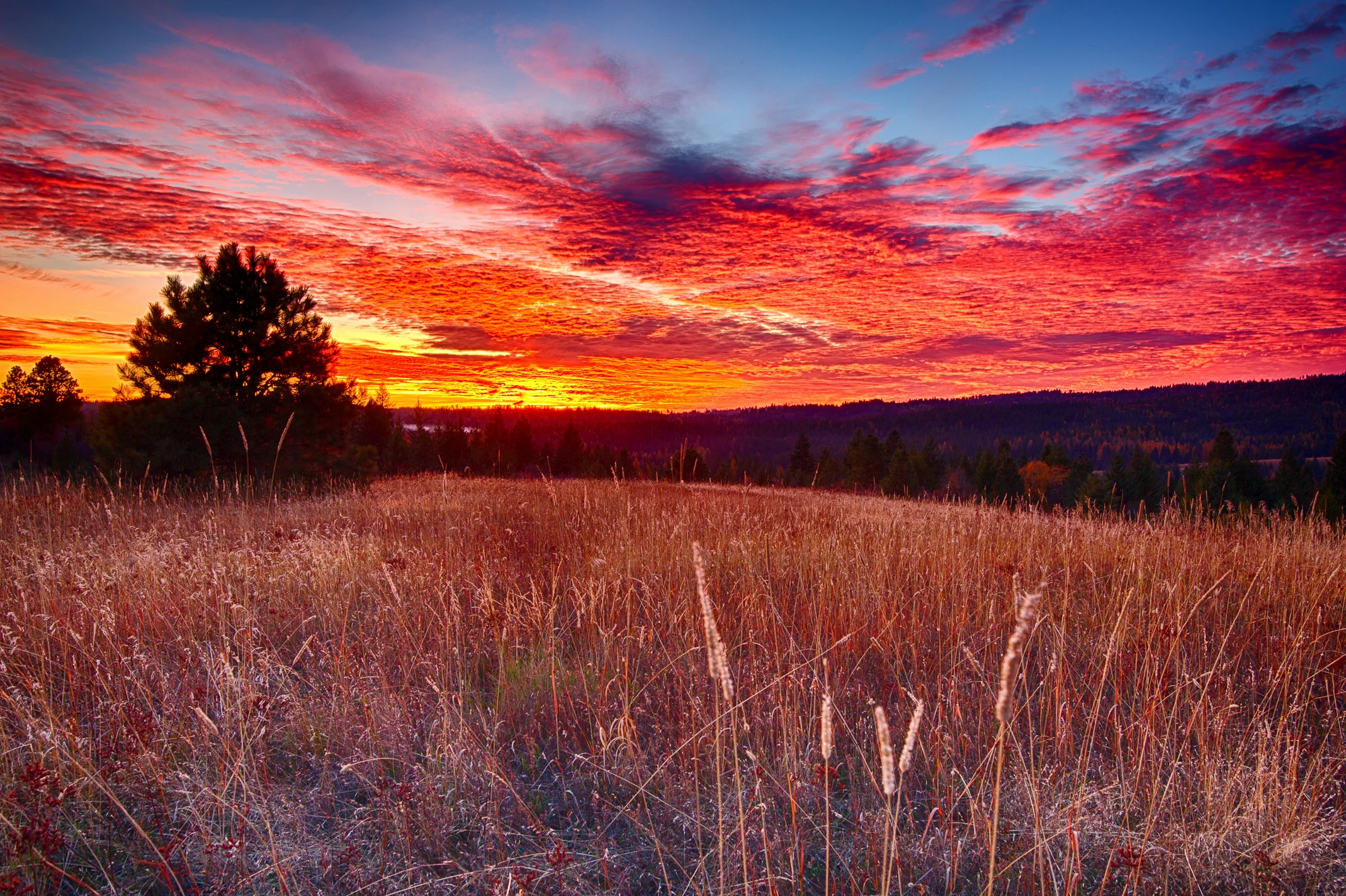 9J4A3224_HDR-Edit.jpg