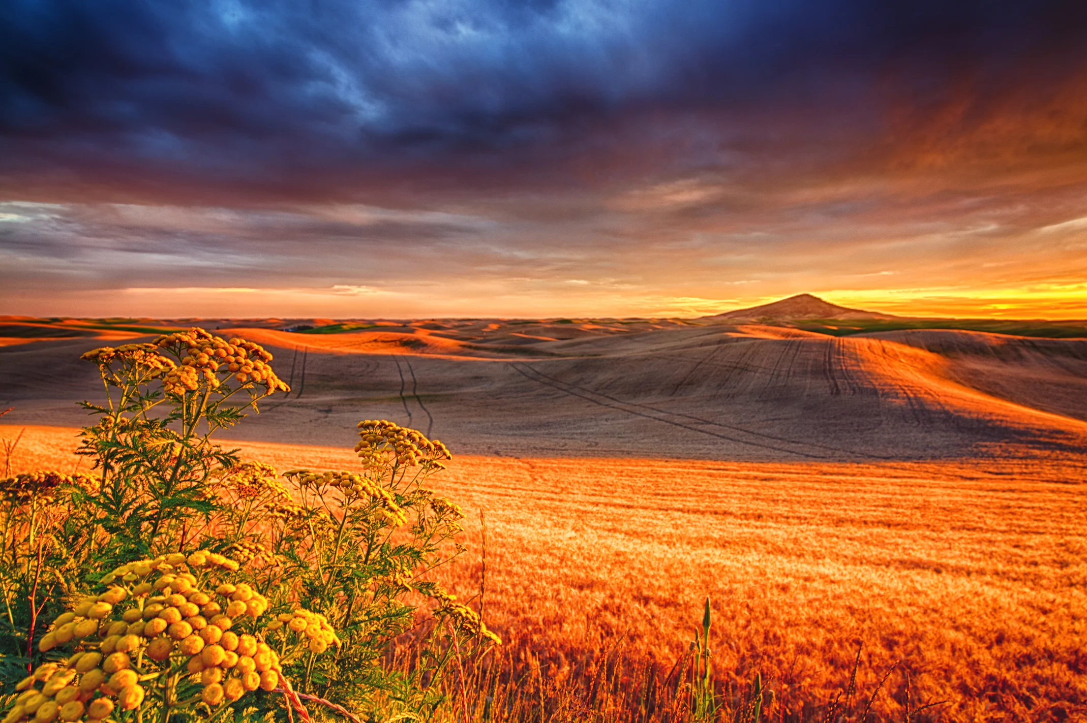 9J4A7674_HDR-Edit-Edit.jpg