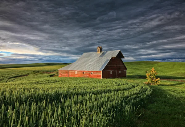 peterson_barn_sky.jpg