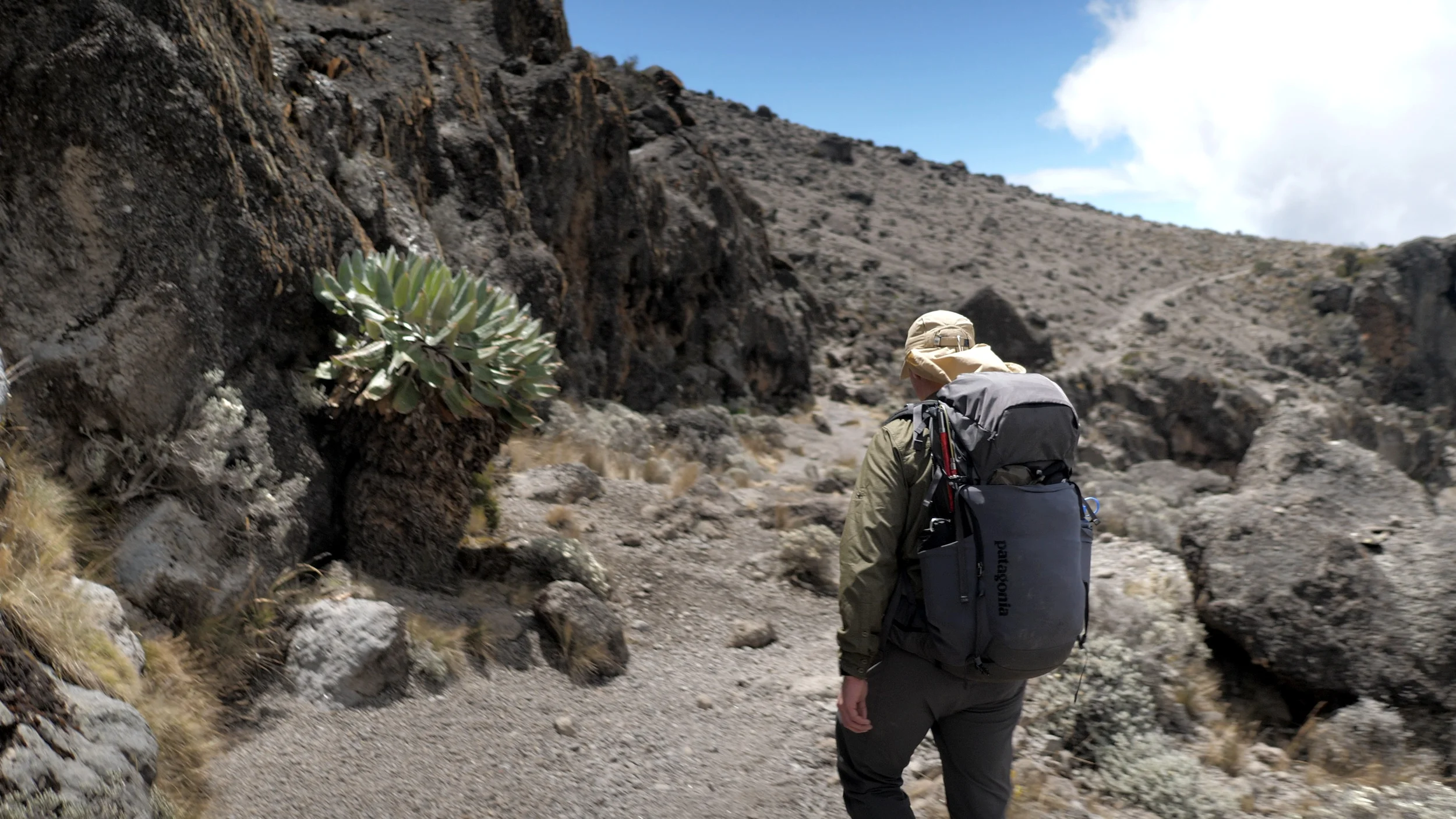 GEAR: PAtagonia nine trails 36L backpack / LEKI Micro carbon sticks
