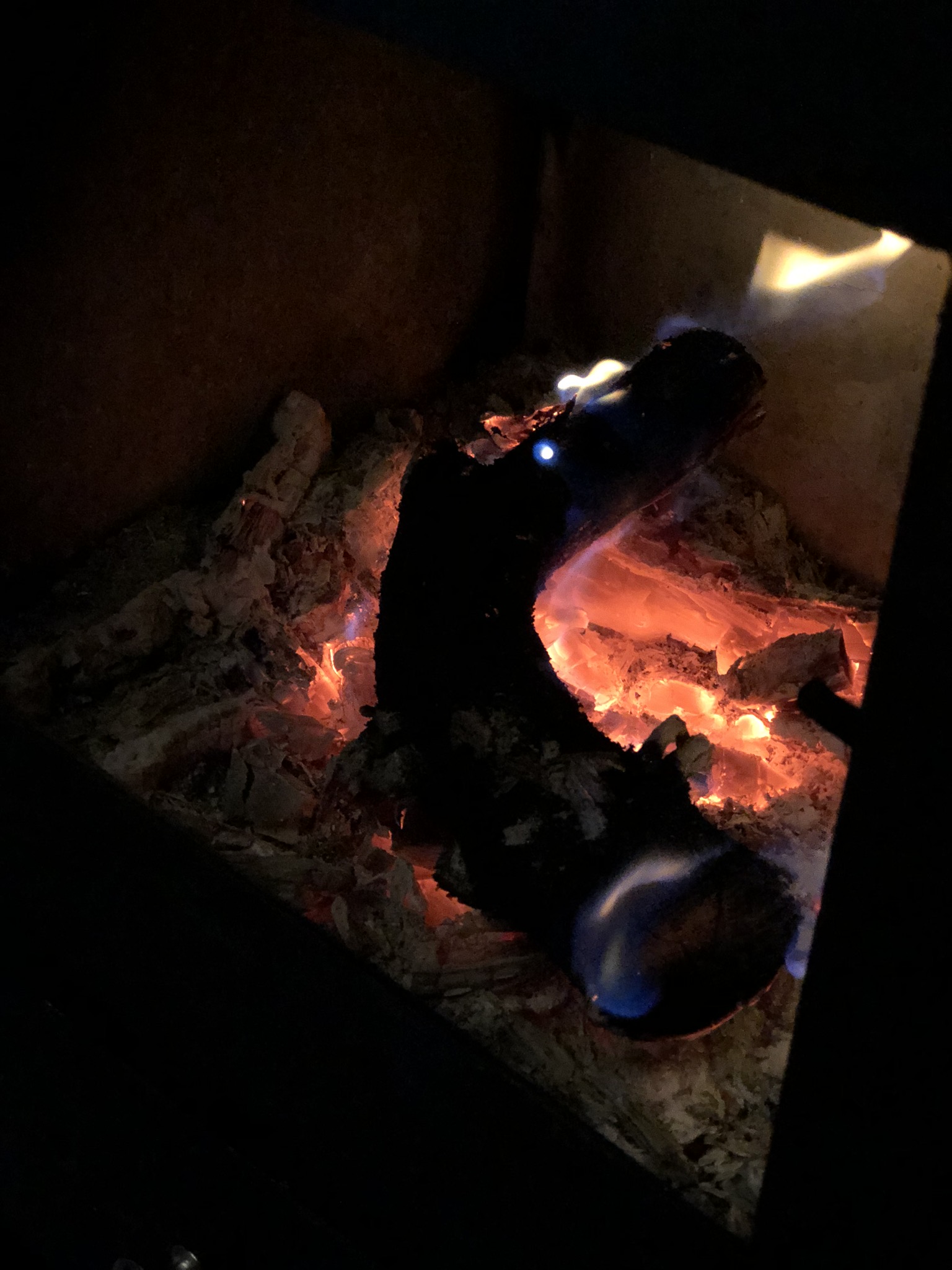 IMG_2910.JPEG