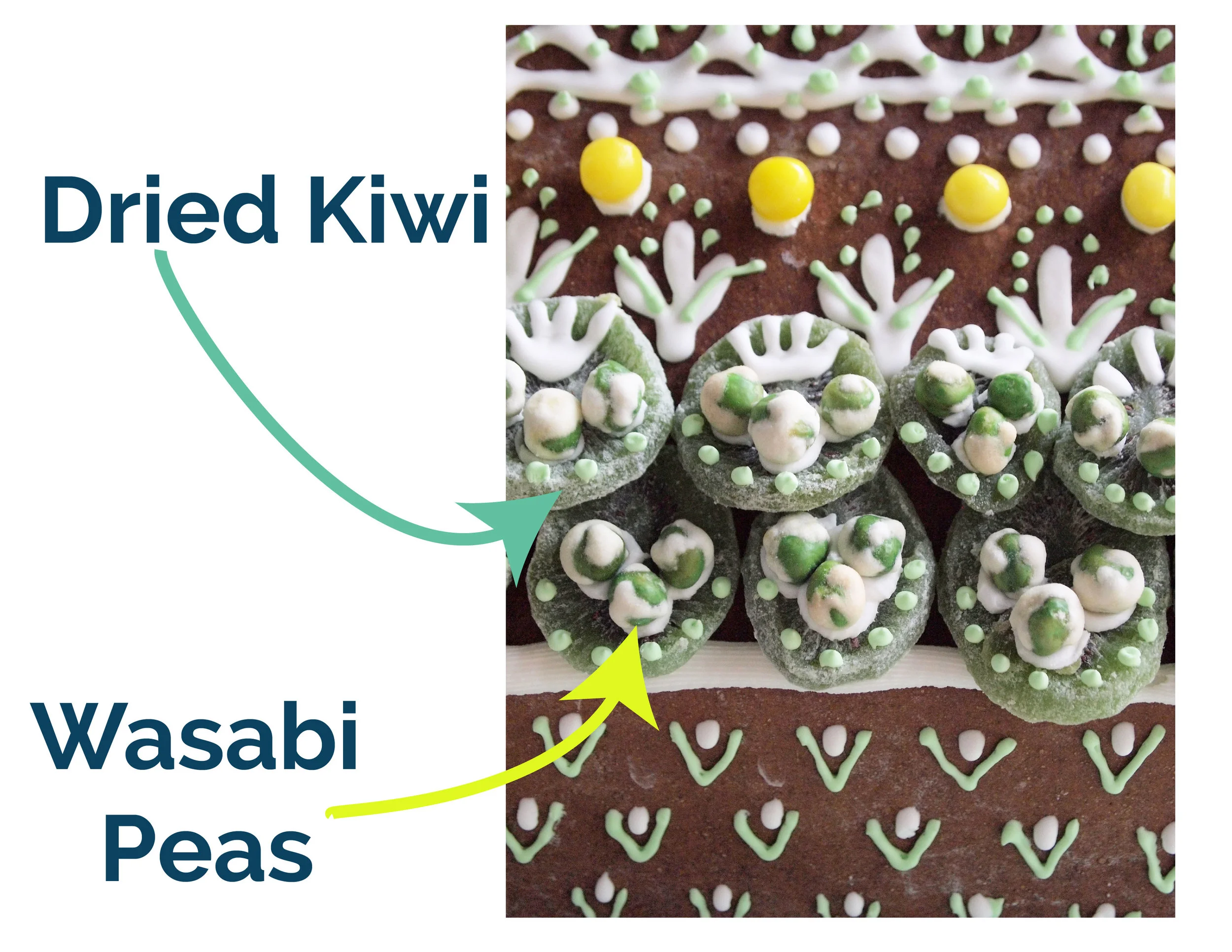 kiwi and wasabi graphic test-01.jpg