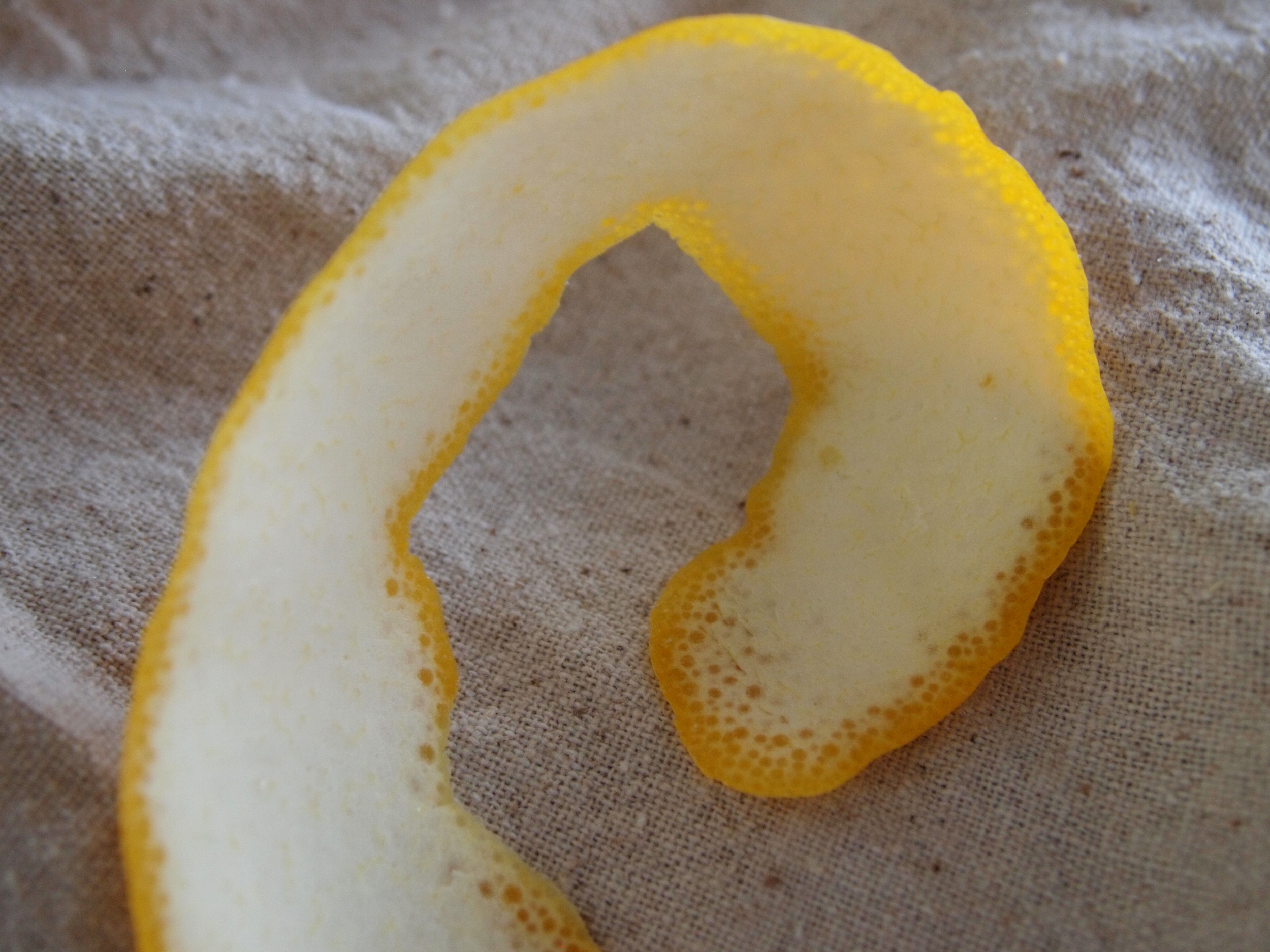 candied meyer lemon peel_peel close up_snips entwined.jpg