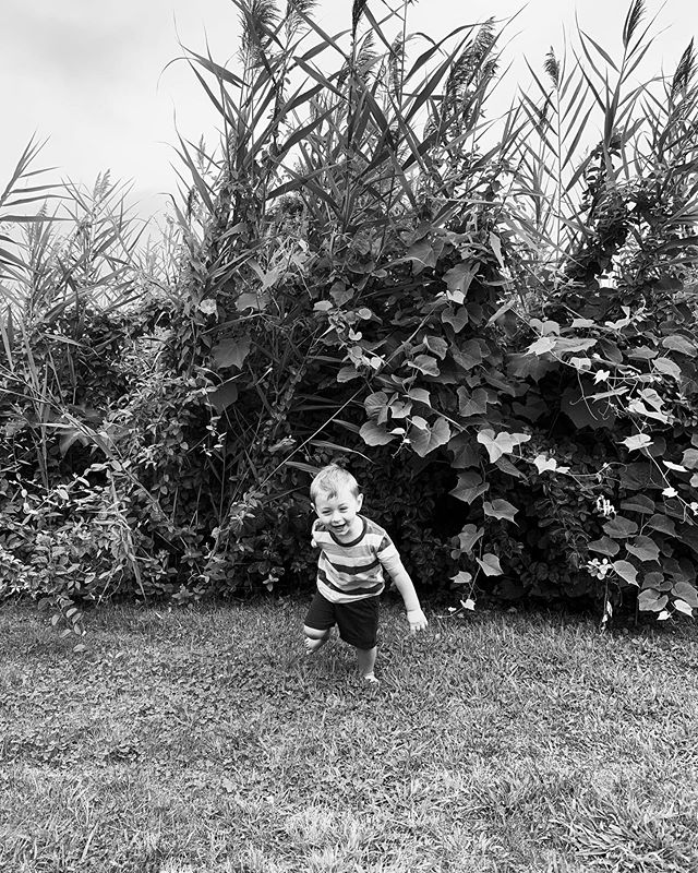 Wrapping up the beach portion of our trip, and documenting this little whirling dervish before he's taller than the beach grasses. #toddler #fairhaven #westisland #whirlingdervish #cameramama #cm_blankspace