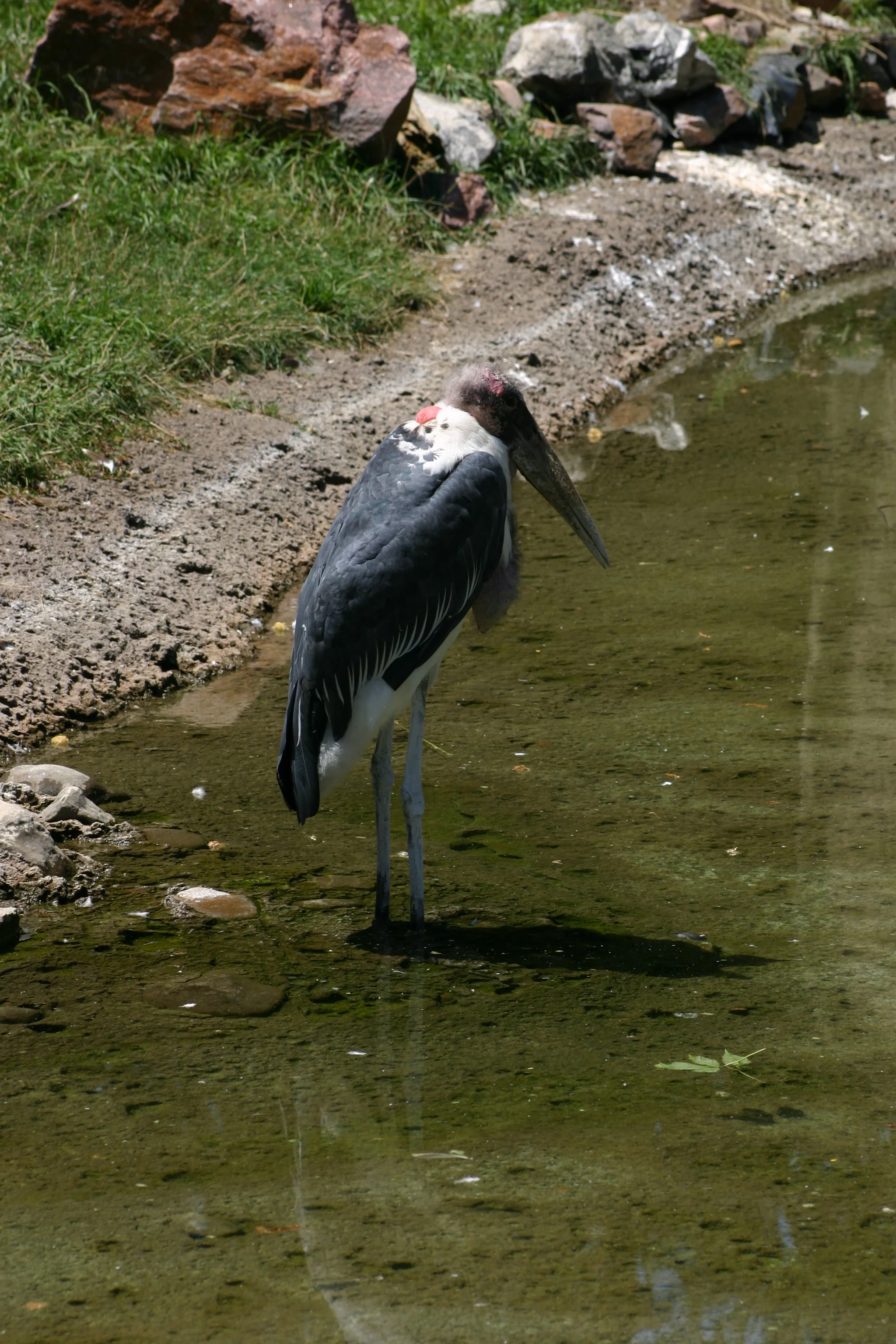 IMG_9415.JPG