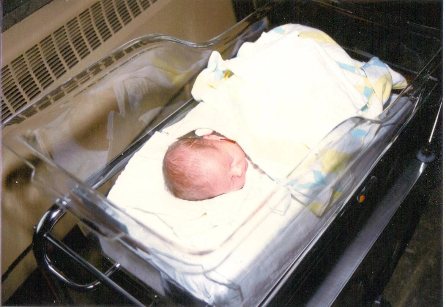 12-12-2008 02;58;36PM.JPG